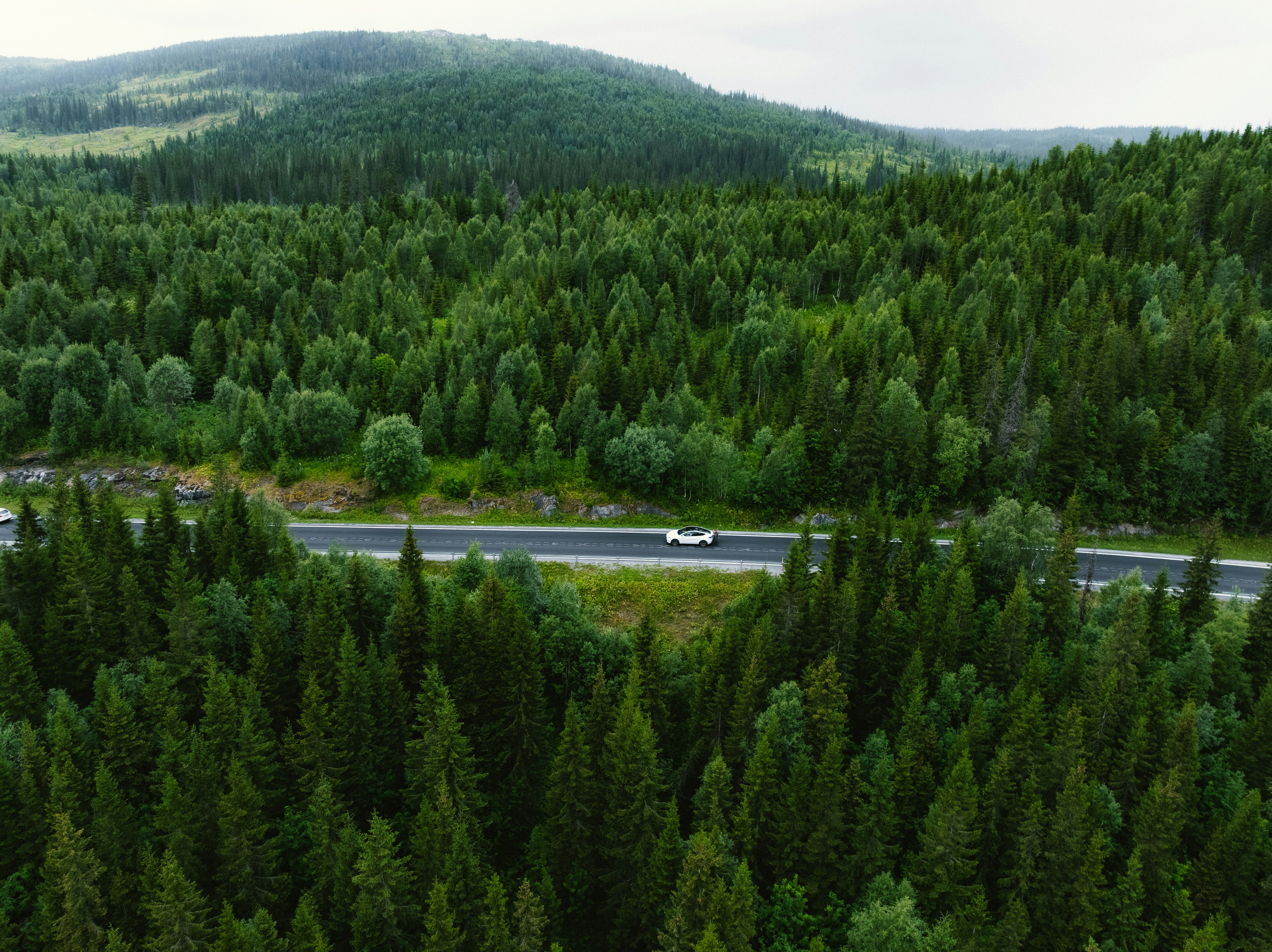 Photo by kristapsungurs