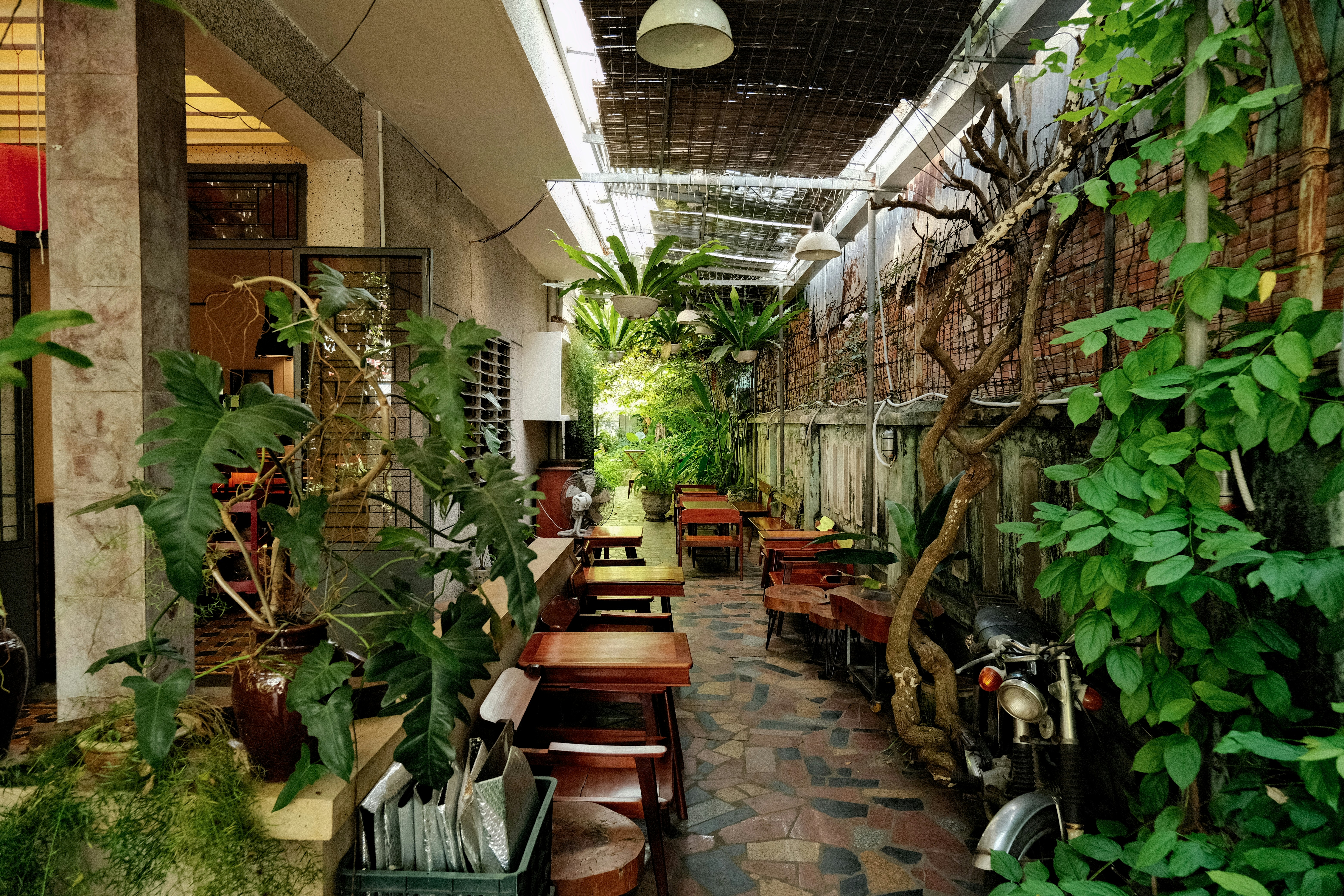 Photo by quangtran304