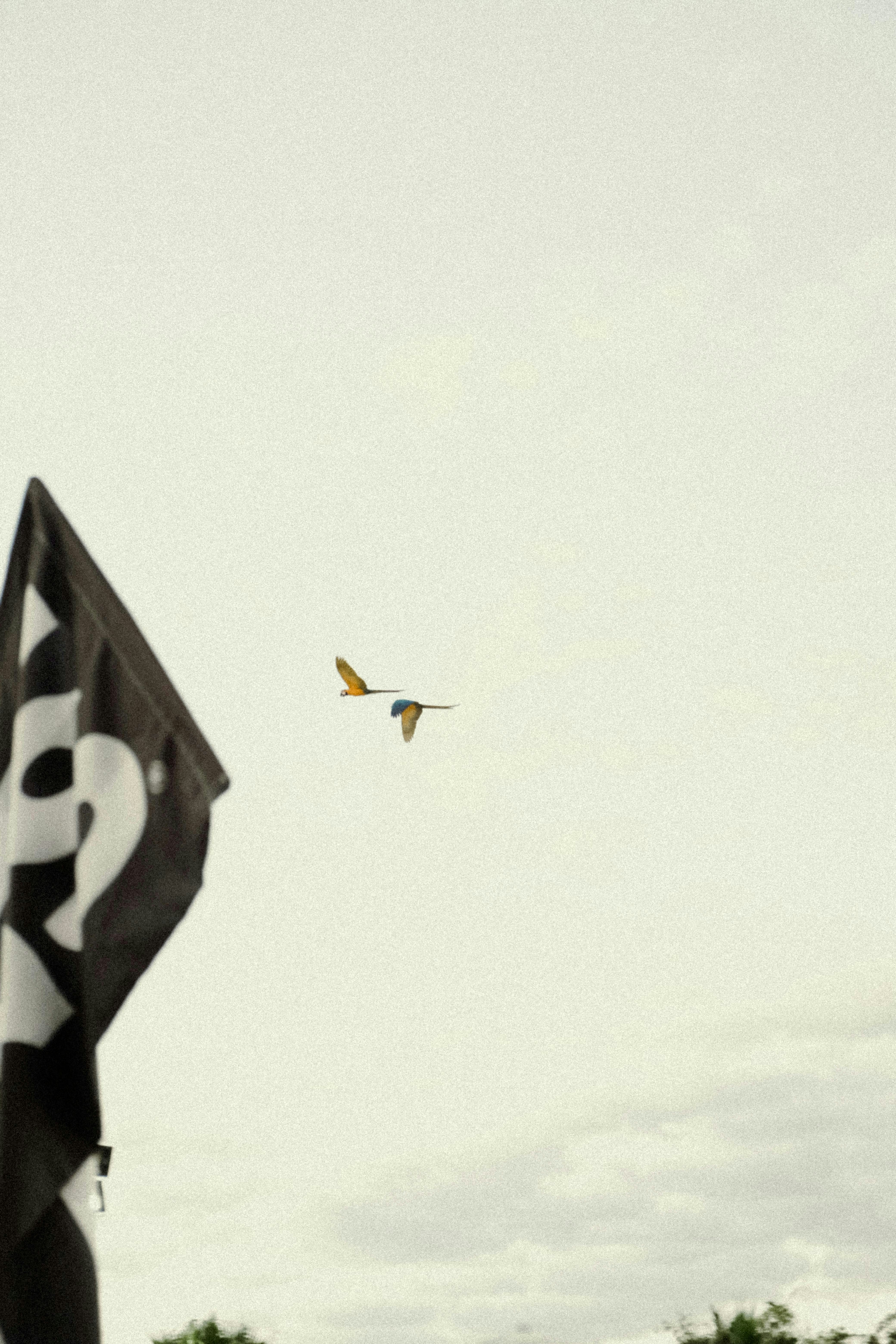 Un petit avion jaune et blanc vole dans le ciel.