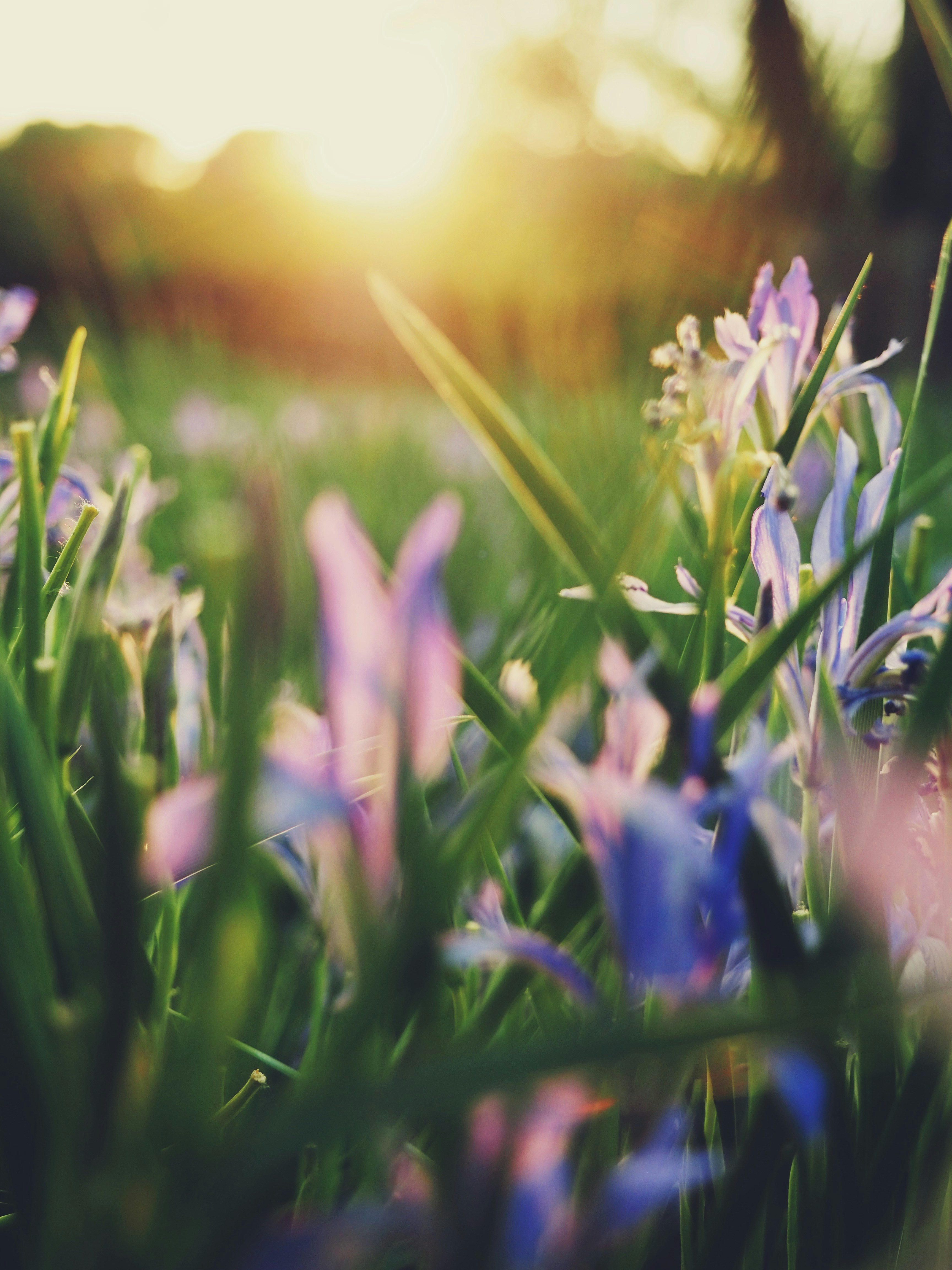 Photo by mianmian1997