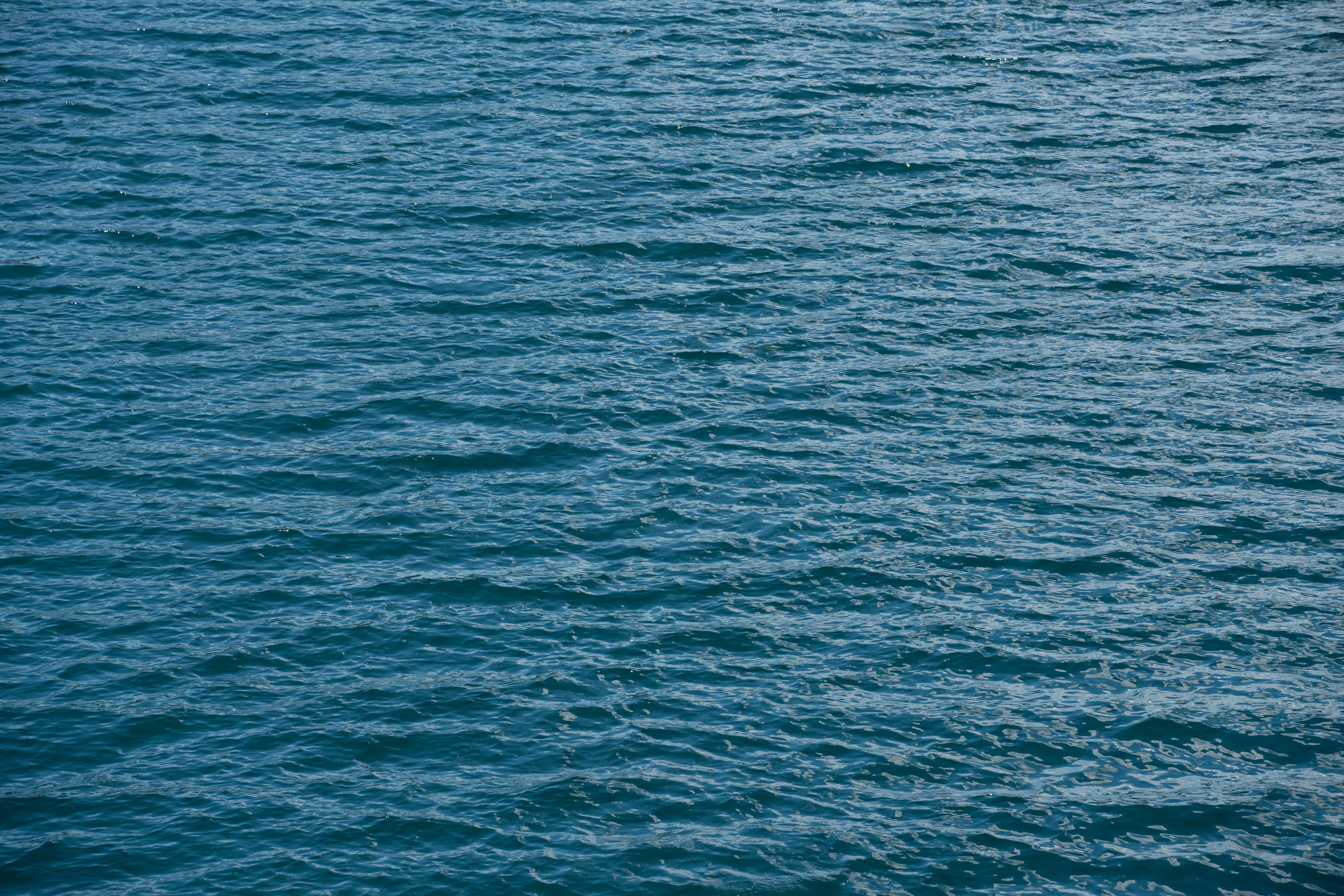 Photo by da_shika_photo