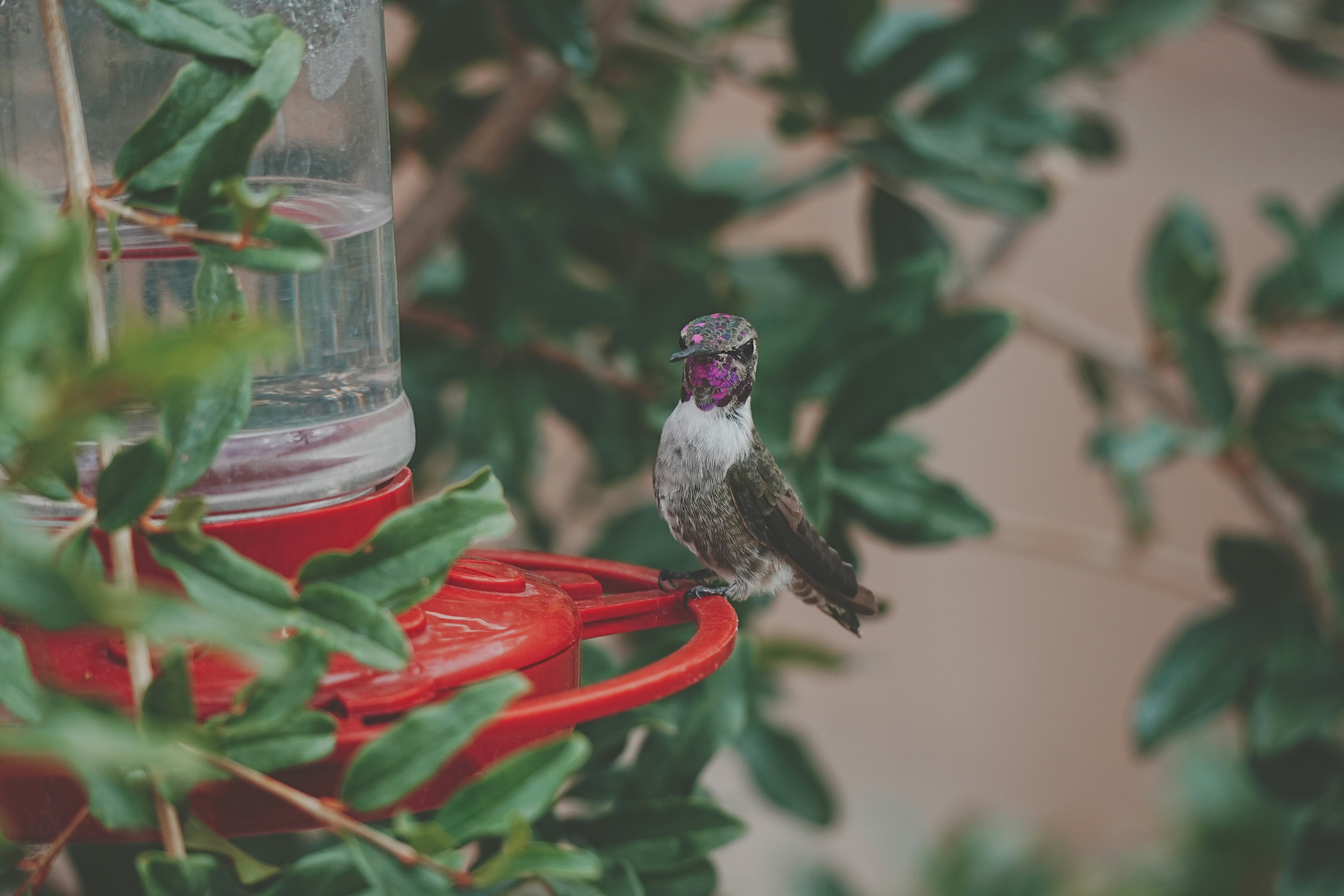 Photo by jcnonstop87