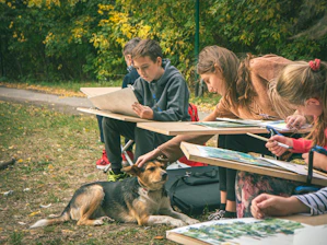 Children drawing outdoors with a dog nearby