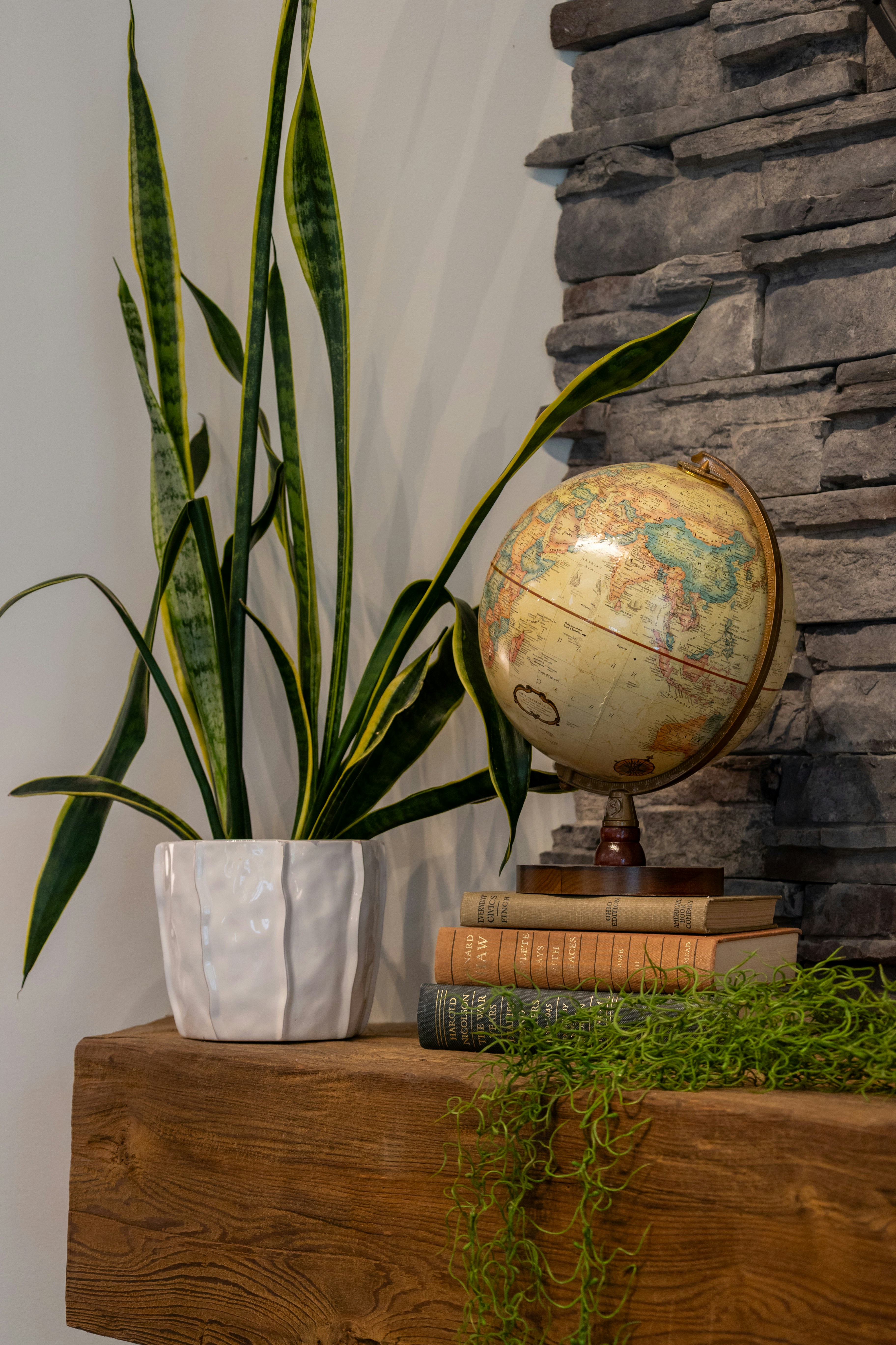 Snake plant and globe on a wooden shelf