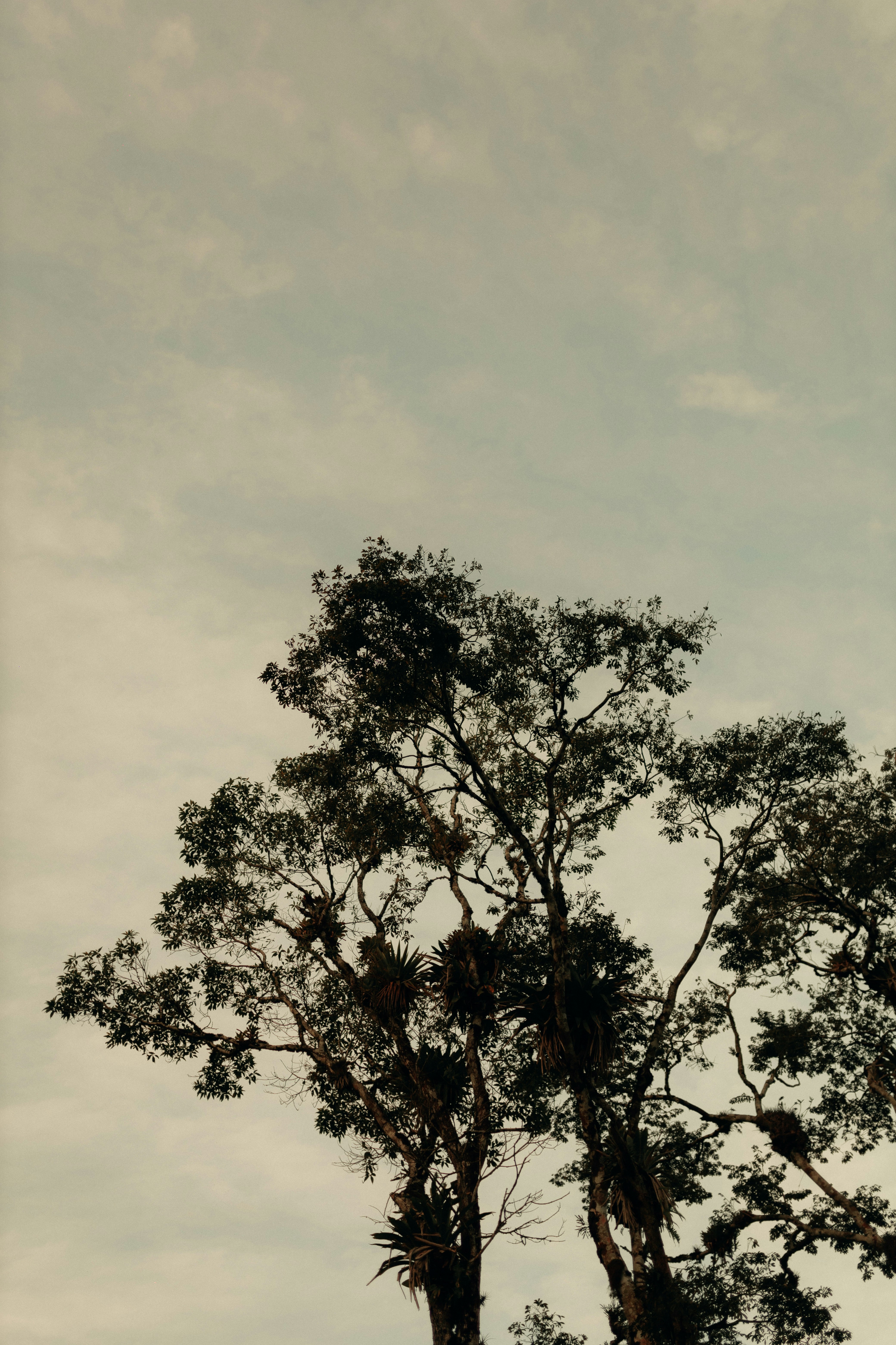 Photo by alexandermassph