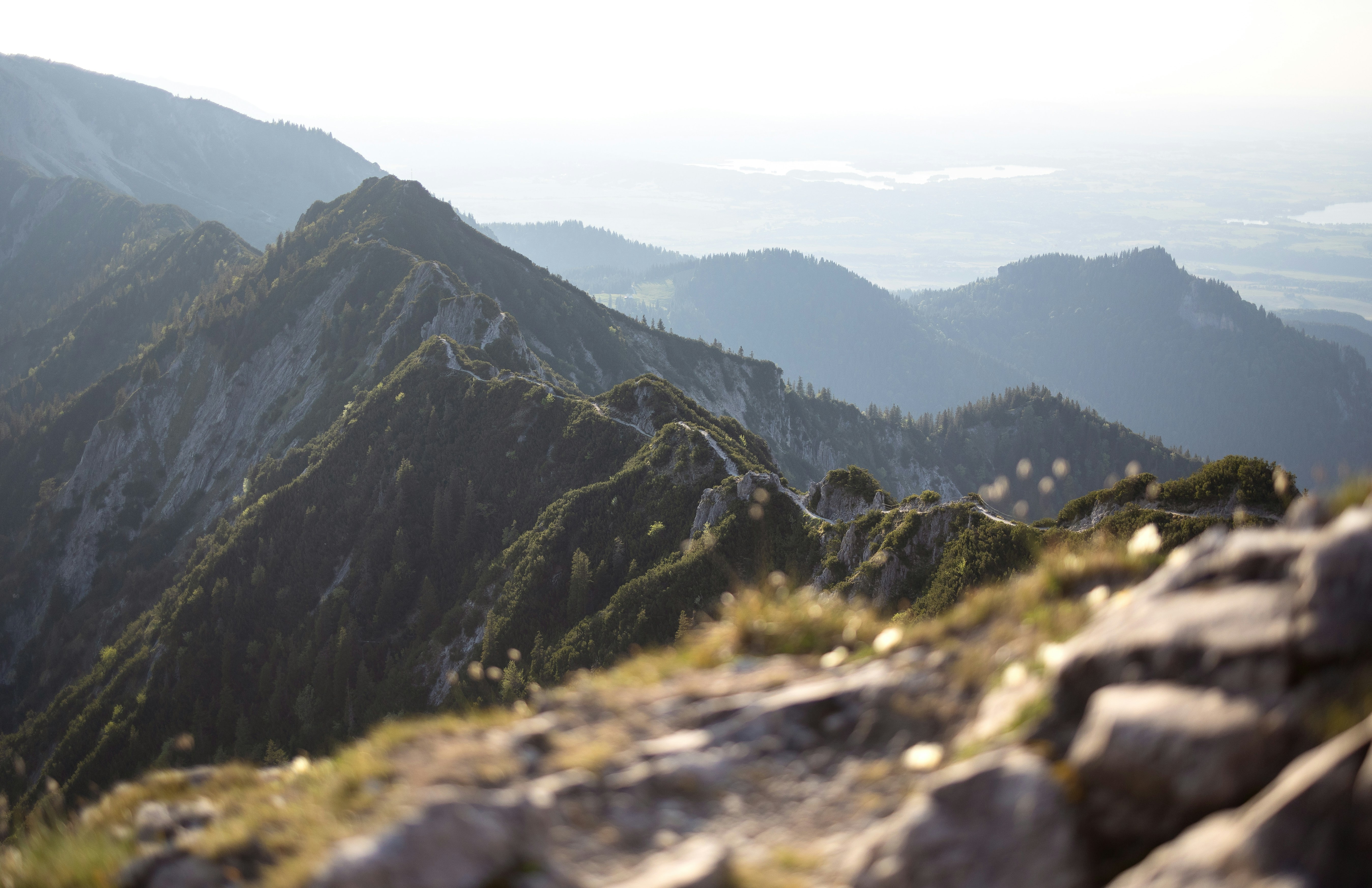 Photo by marekpiwnicki