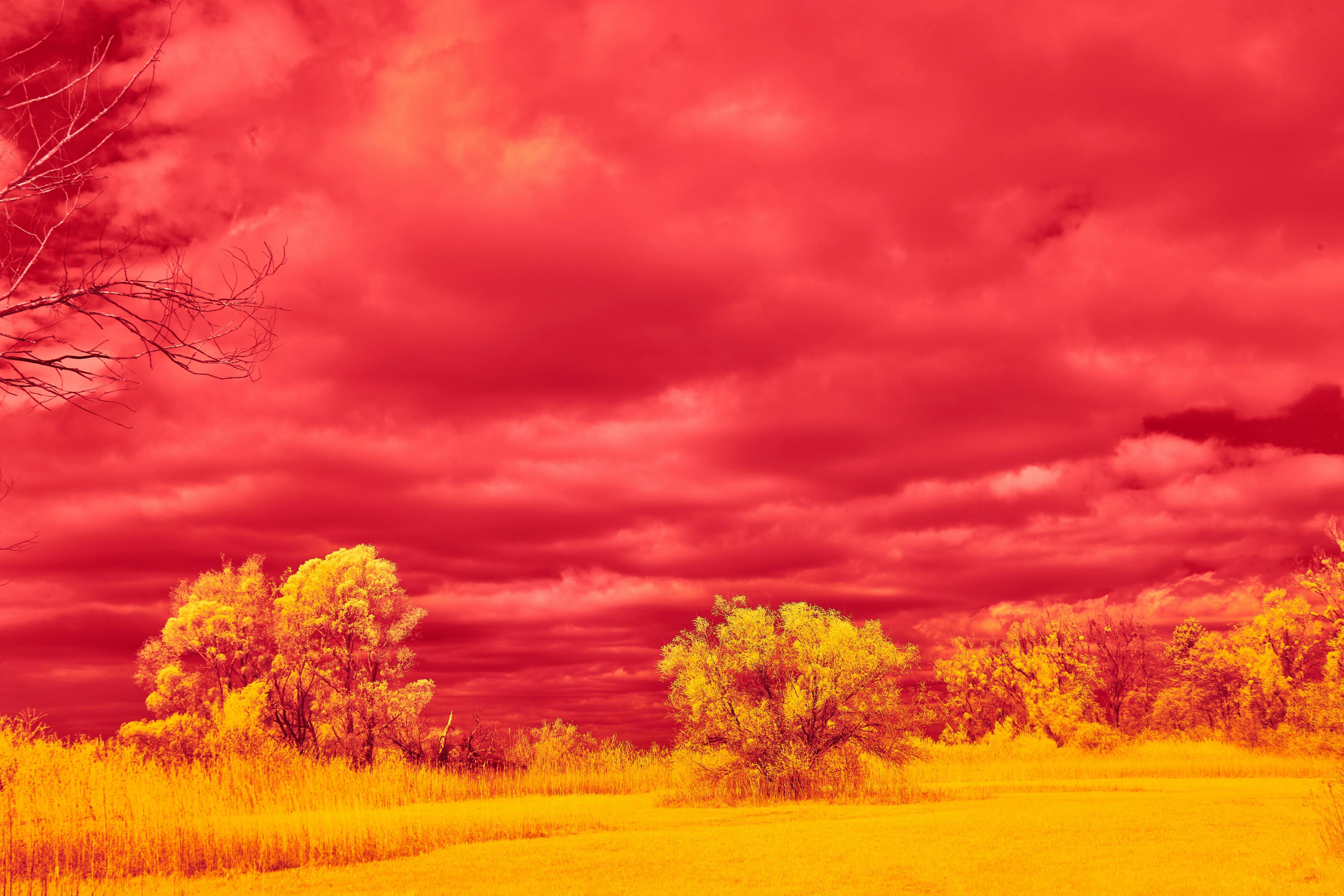 Photo by wolfgang_hasselmann