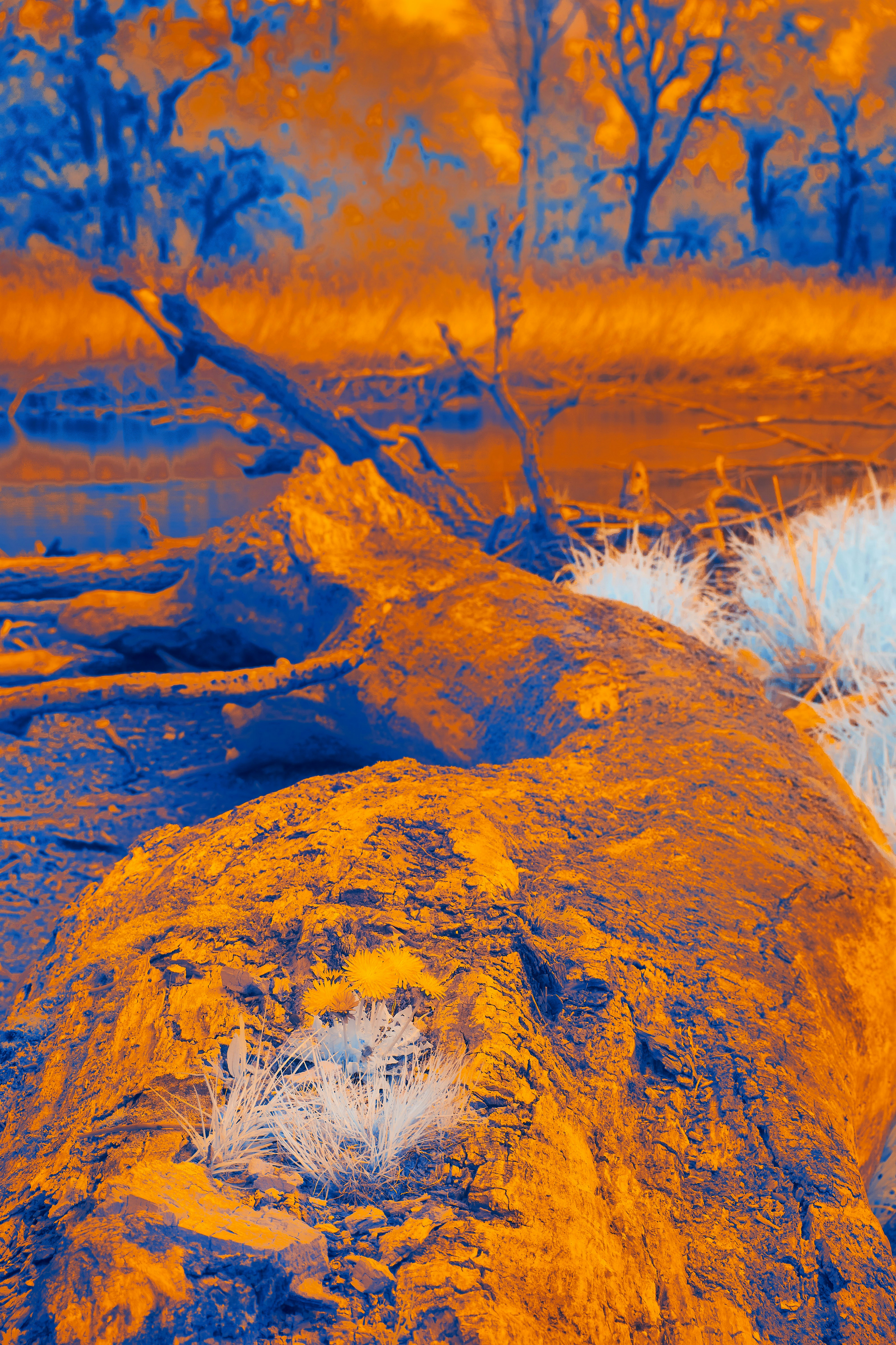 Photo by wolfgang_hasselmann