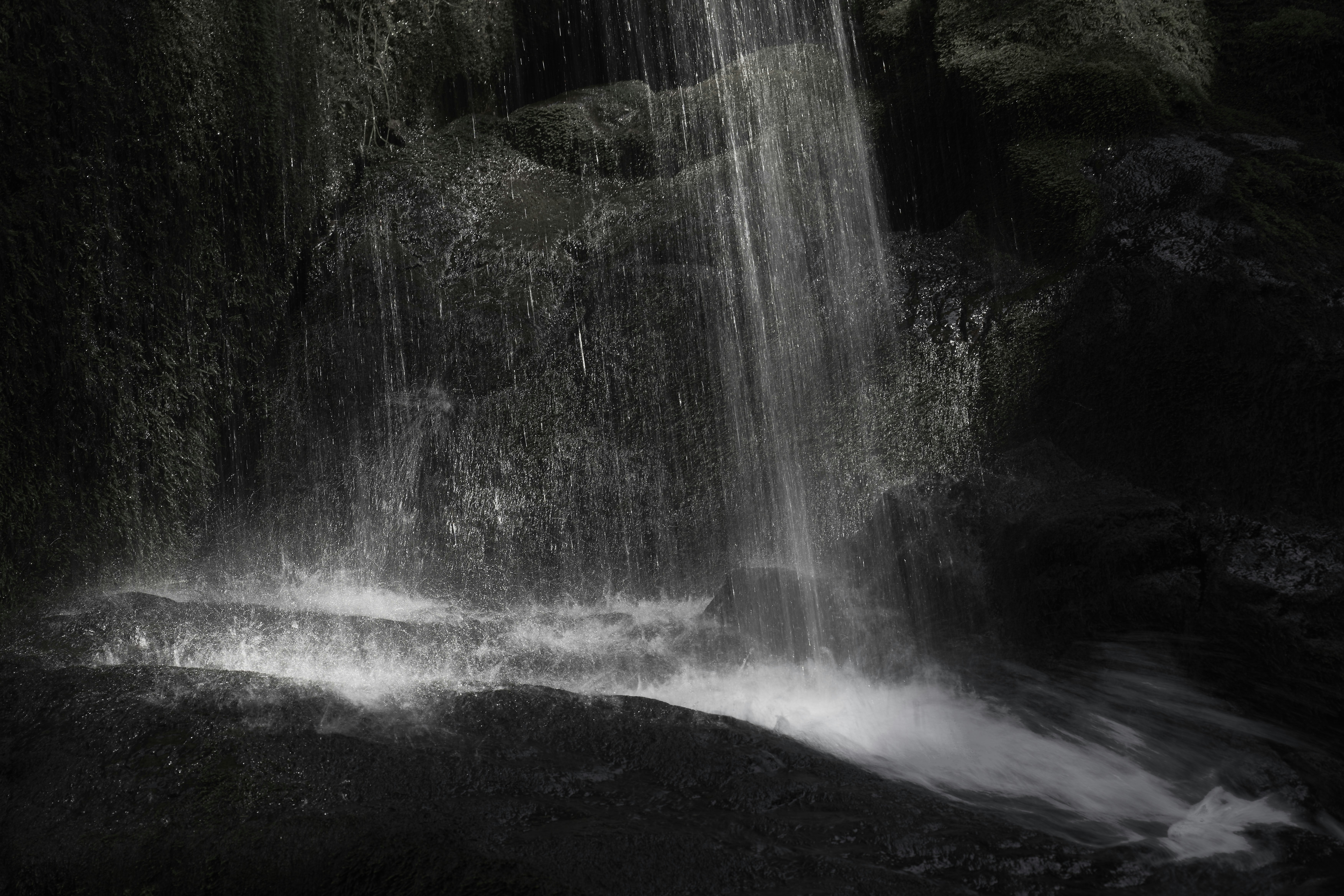 Photo by wolfgang_hasselmann