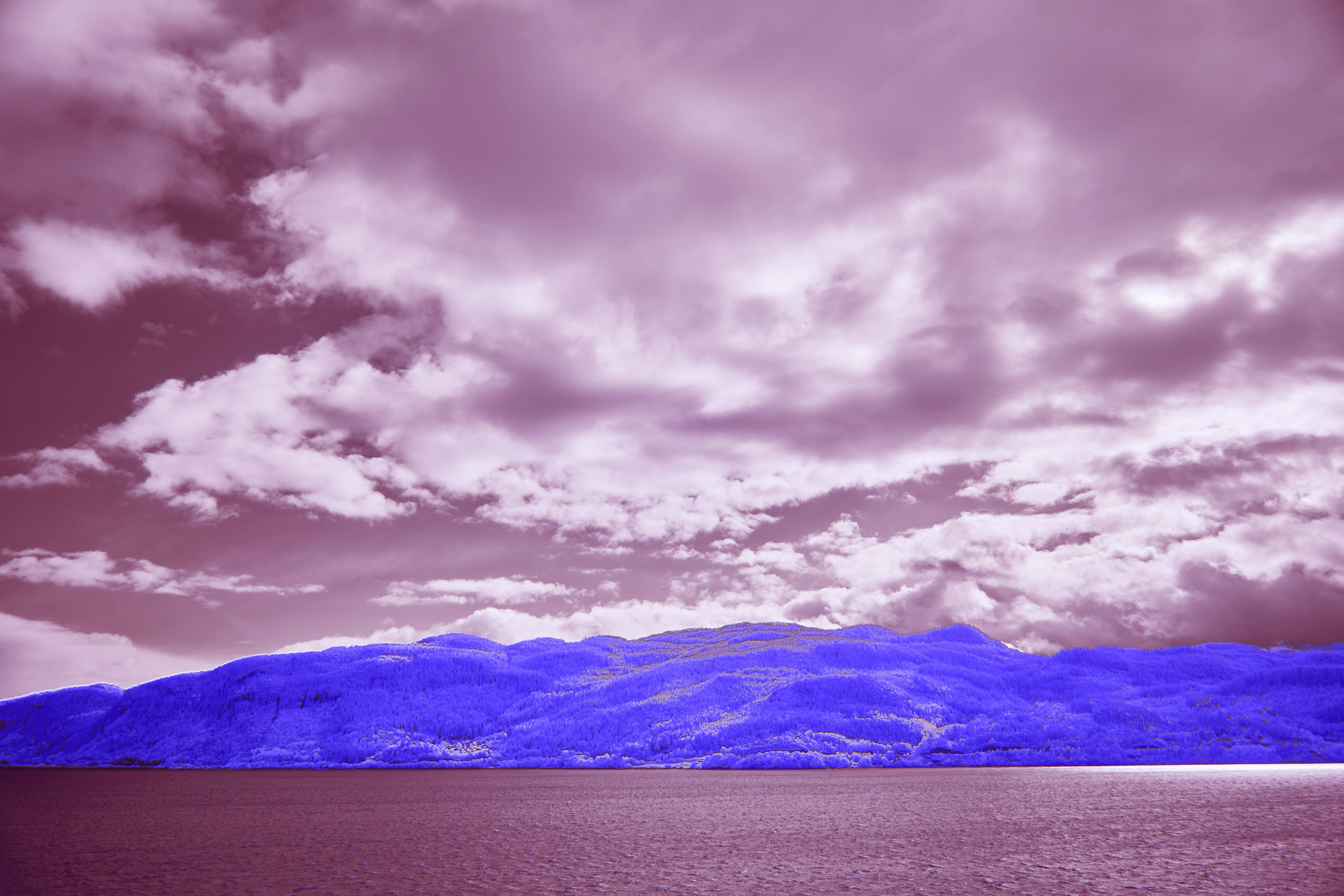 Photo by wolfgang_hasselmann