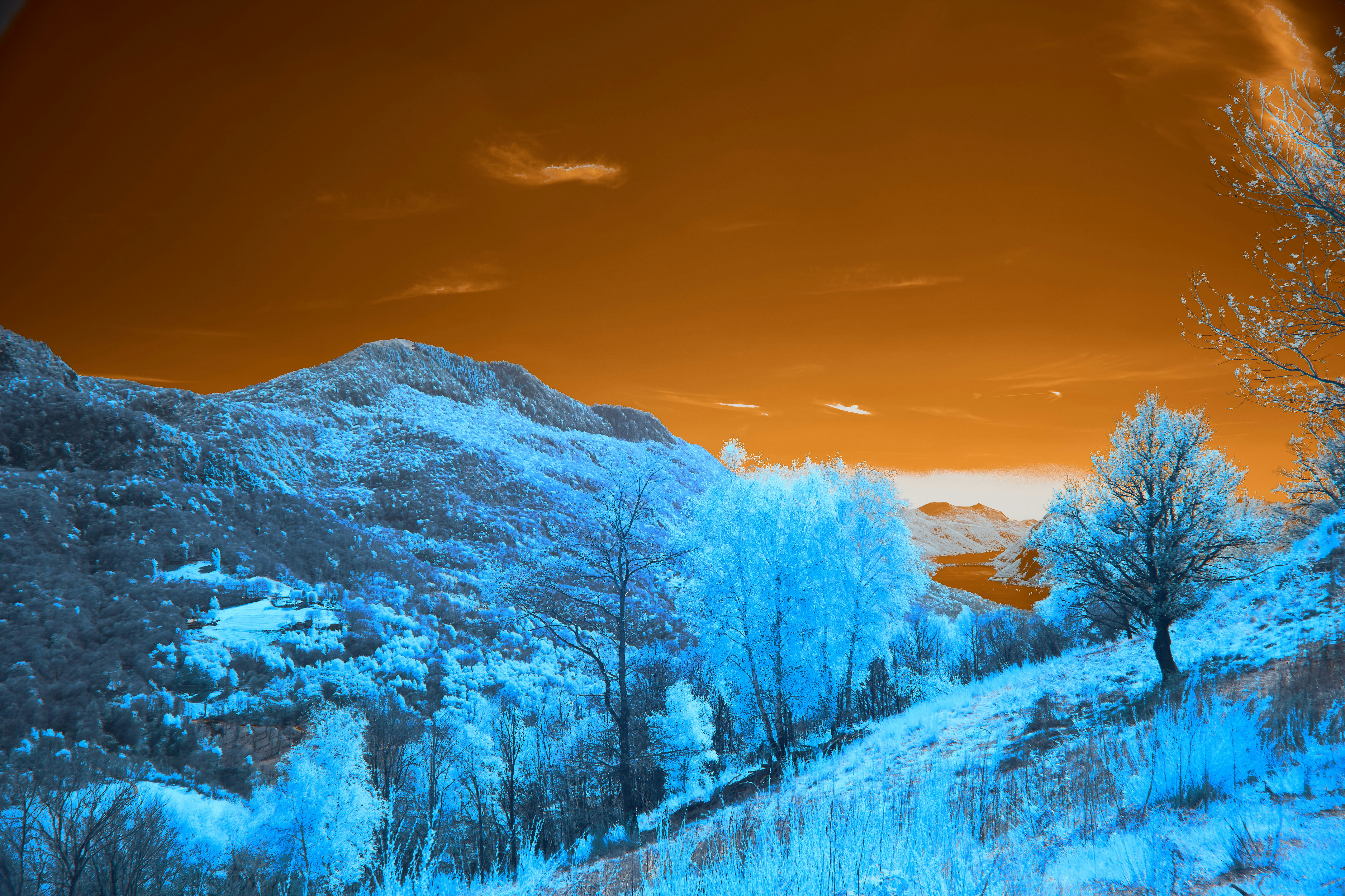 Photo by wolfgang_hasselmann