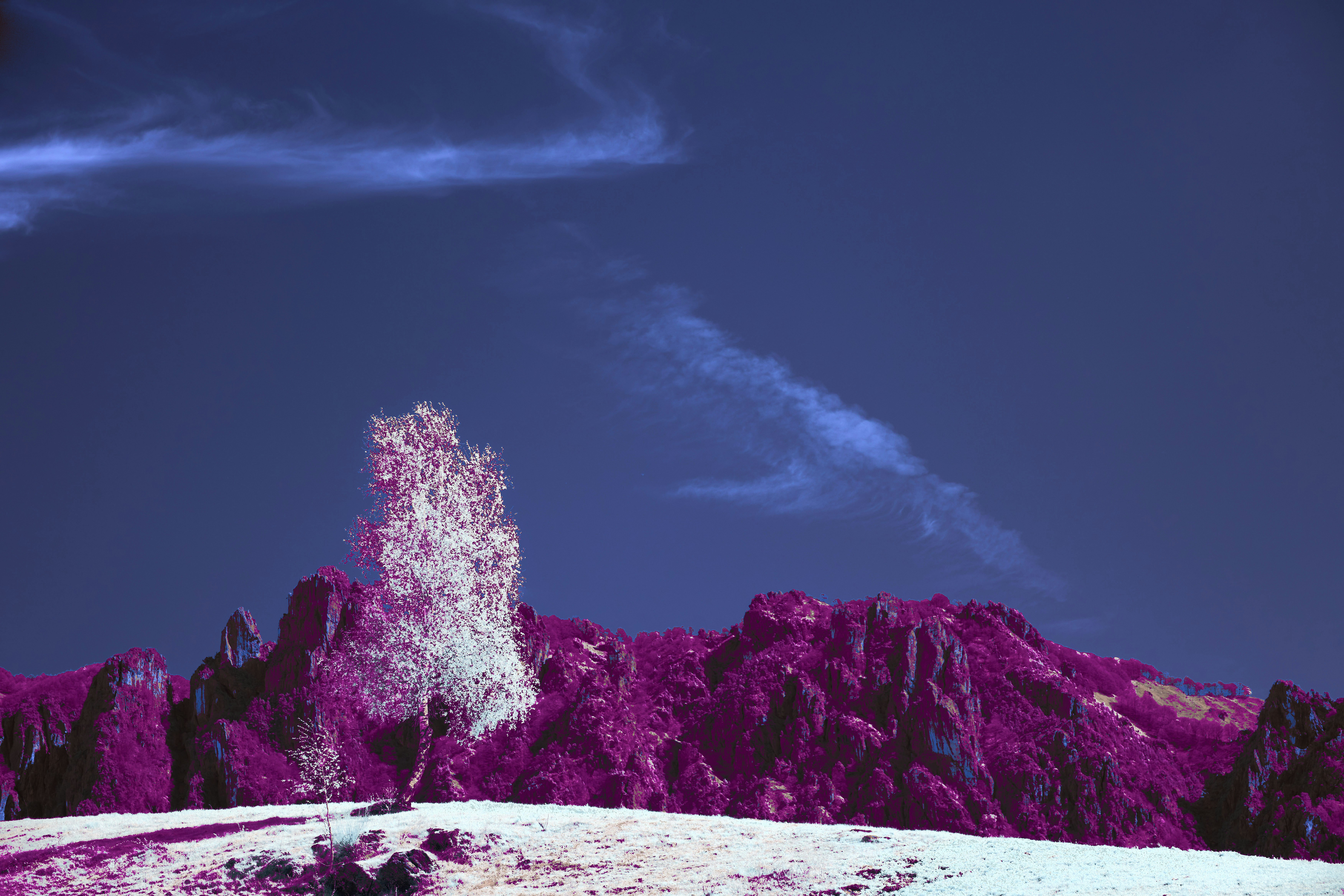 Photo by wolfgang_hasselmann