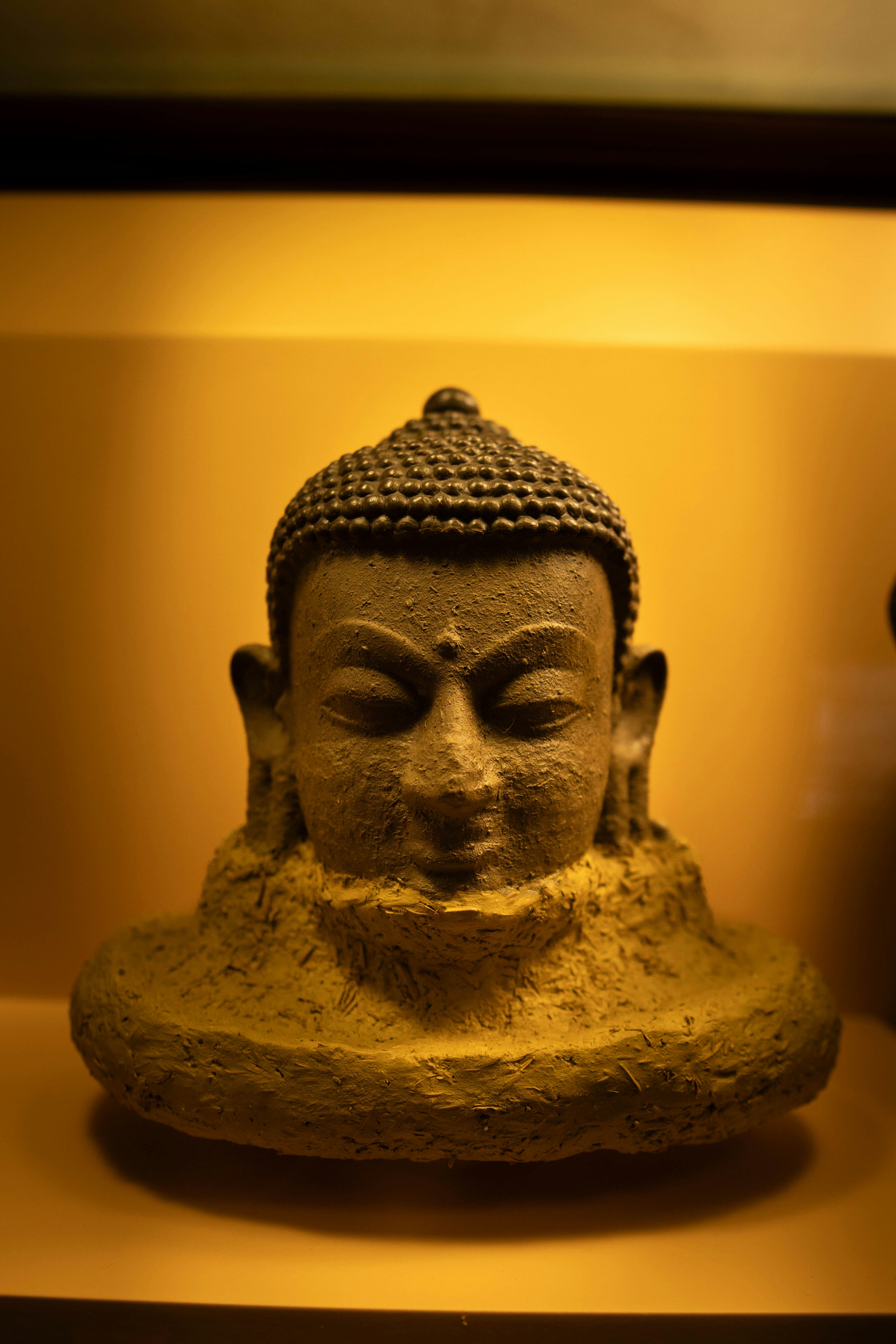 Photo by saagarshrest