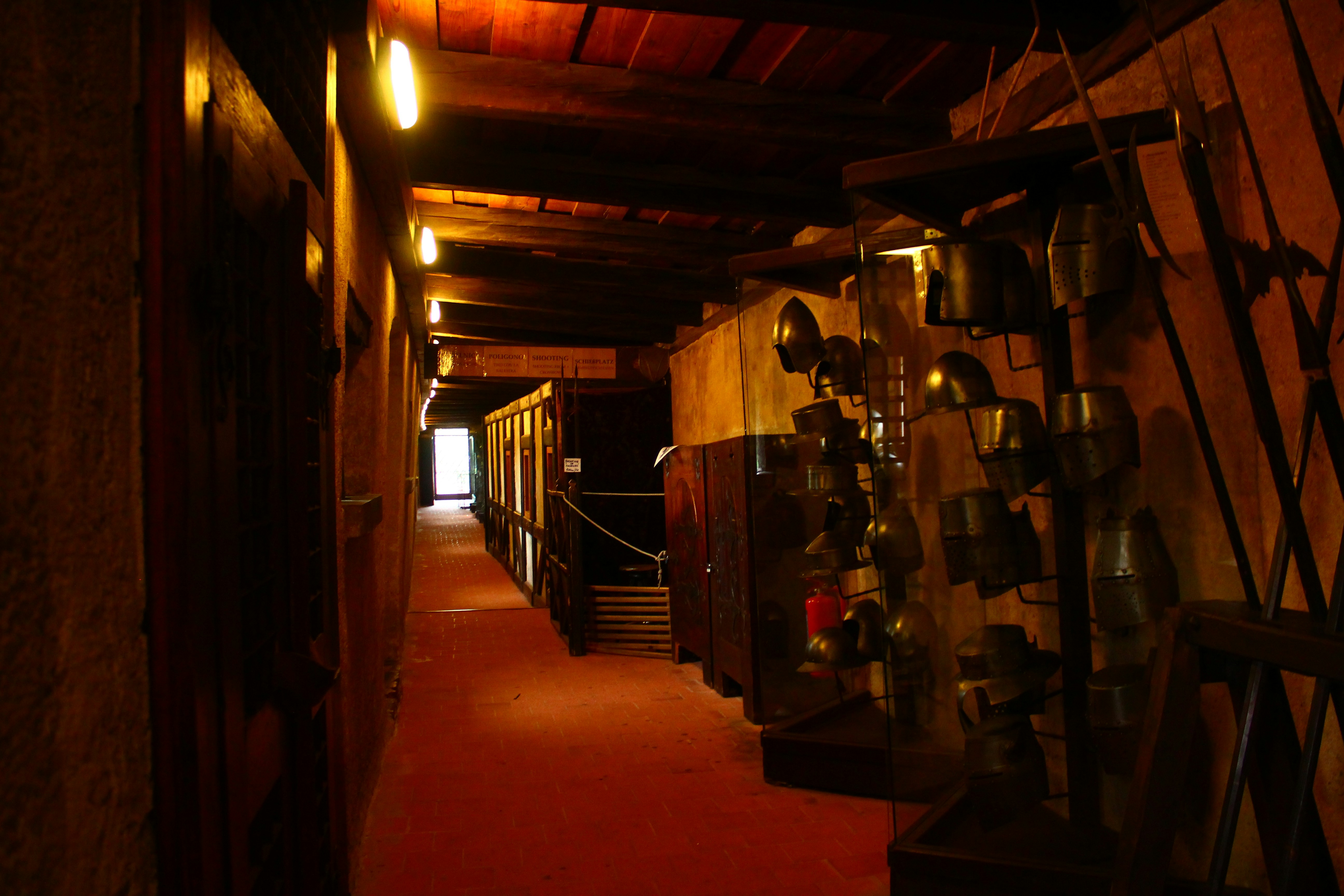 Krokodýlí zoo
