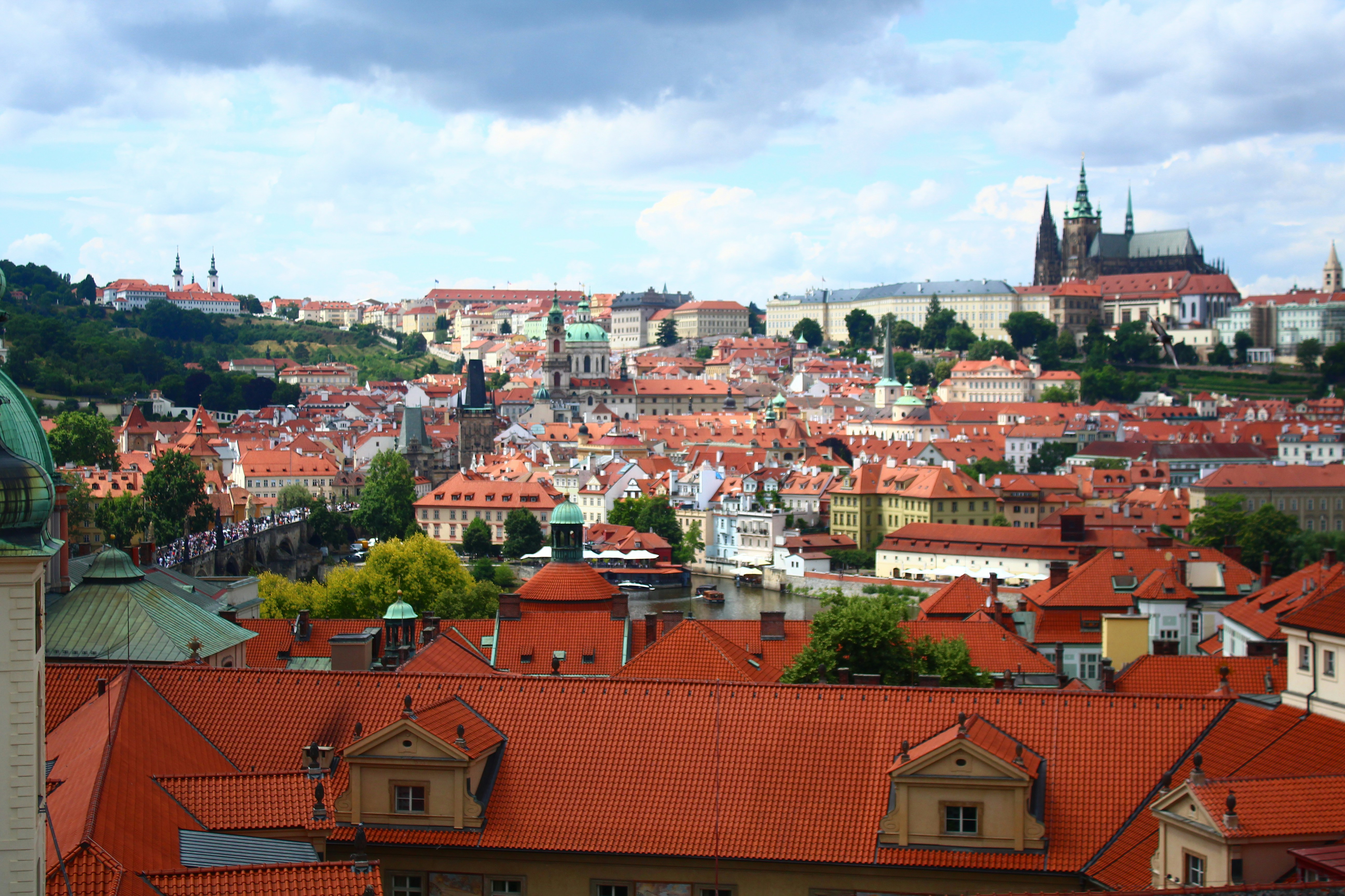 Image by Seval Torun via Unsplash