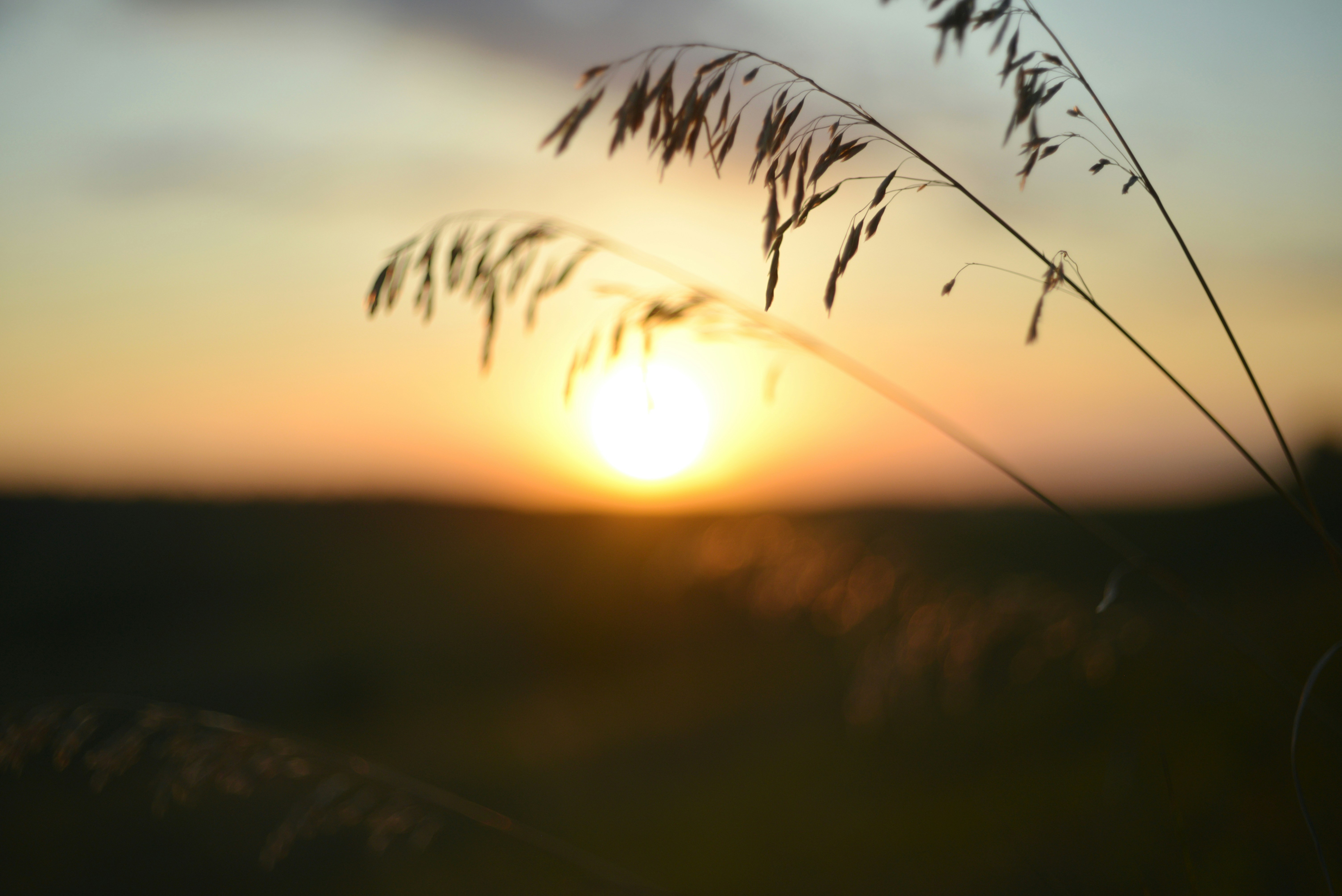 Photo by cherstve_pechivo