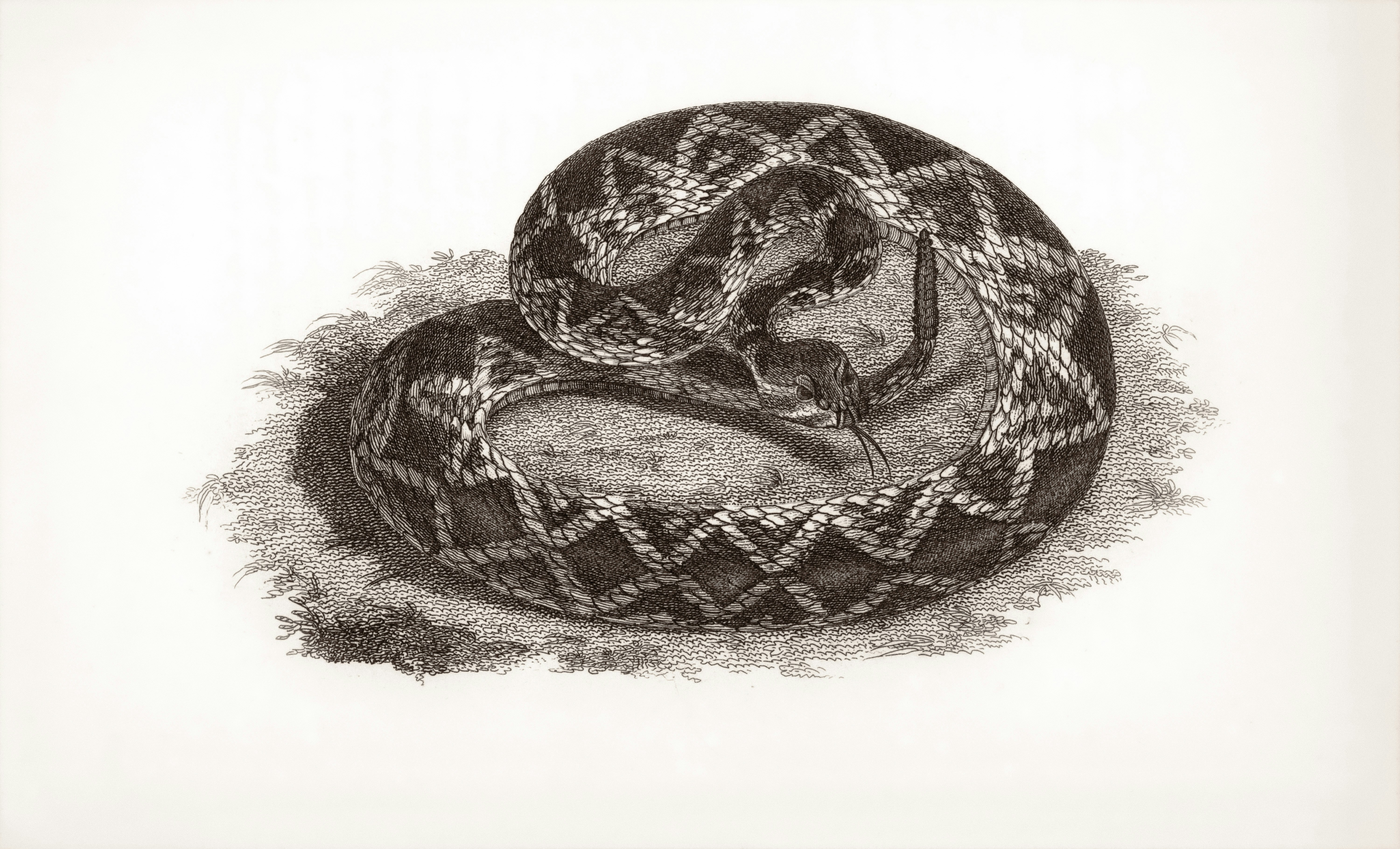 Google Just Gave Anthropic $40 Billion. Anthropic Will Spend It on Google.