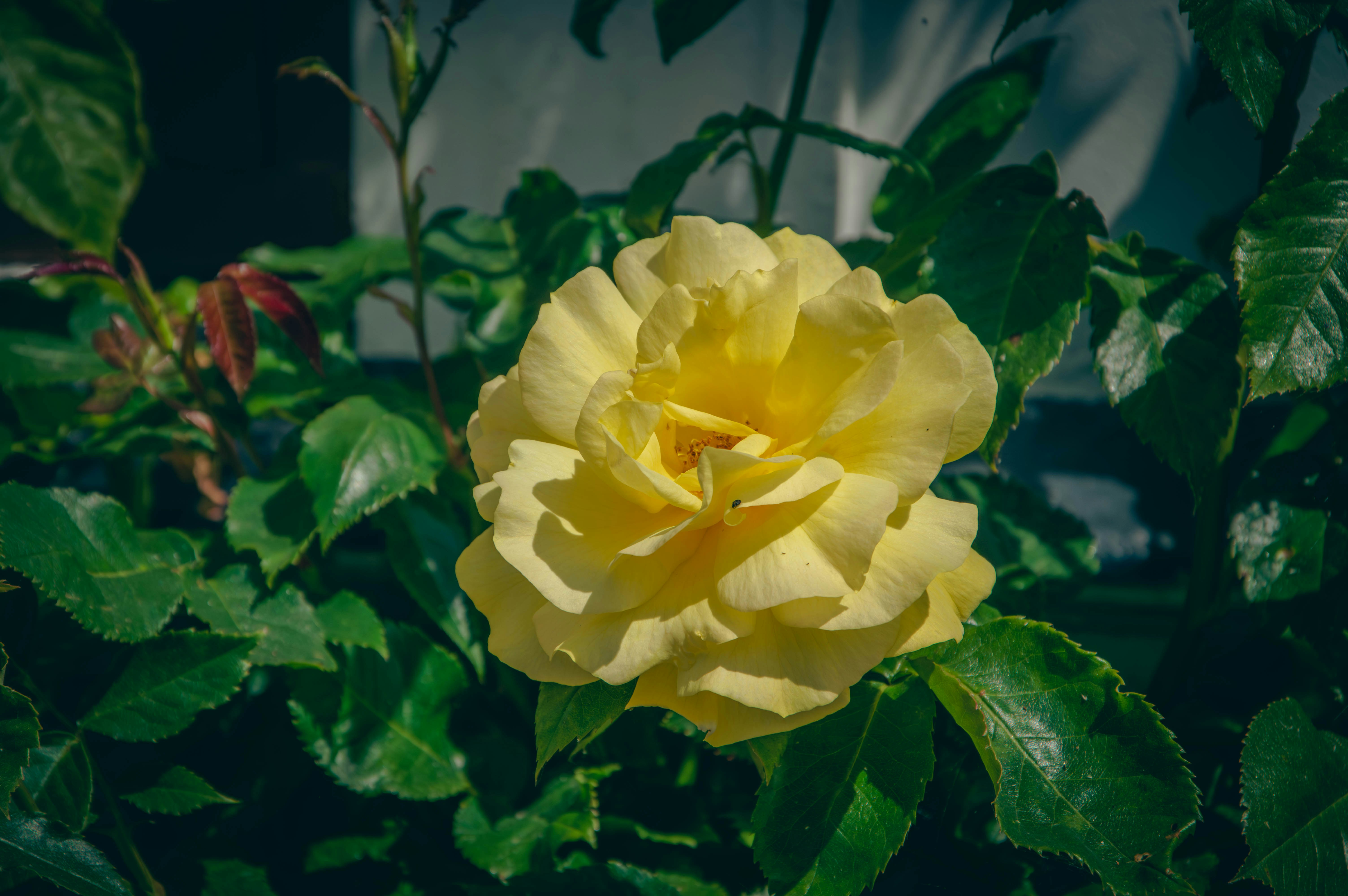 Photo by theoriginalbubi