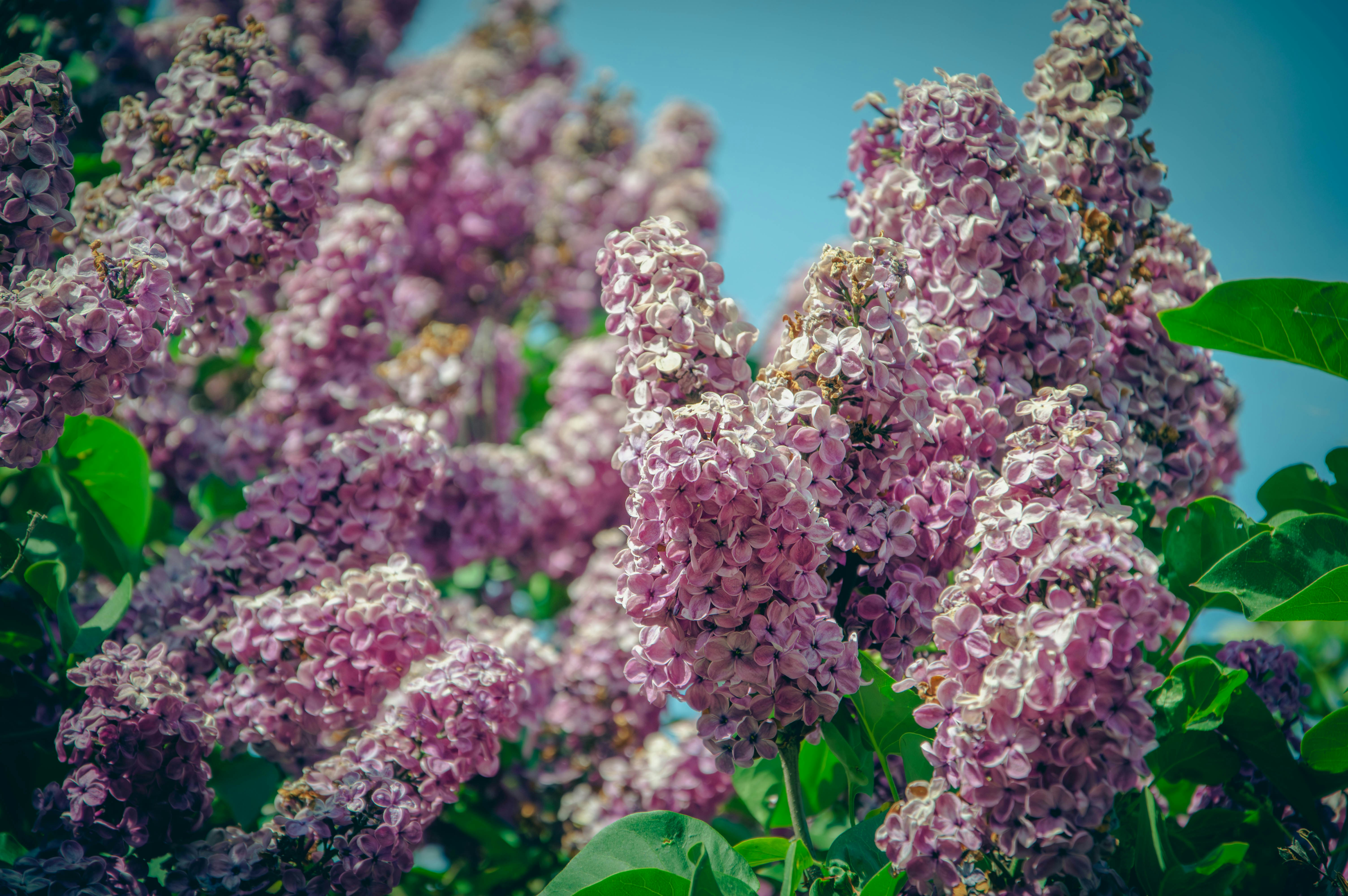 Photo by theoriginalbubi
