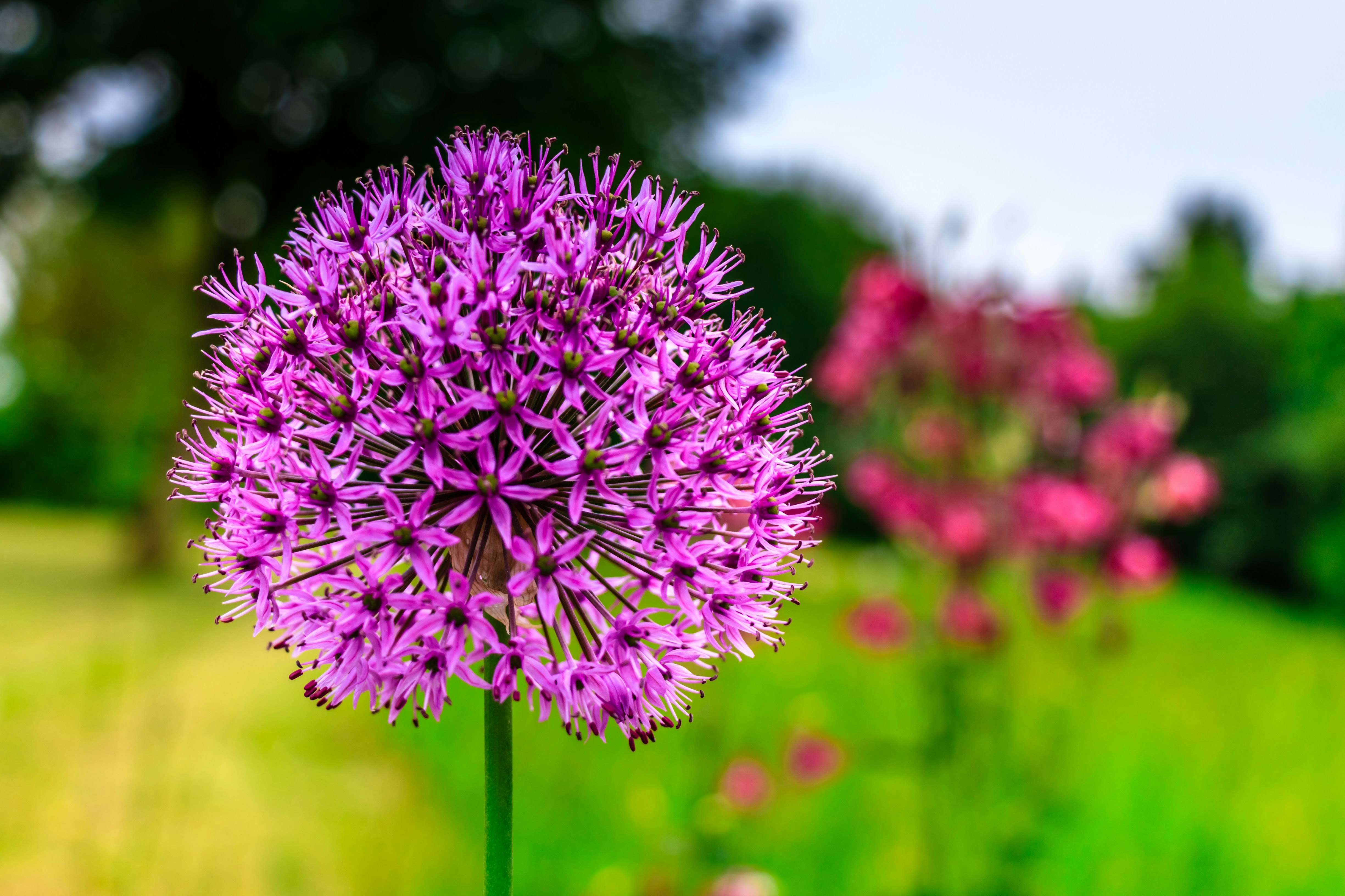 Photo by theoriginalbubi