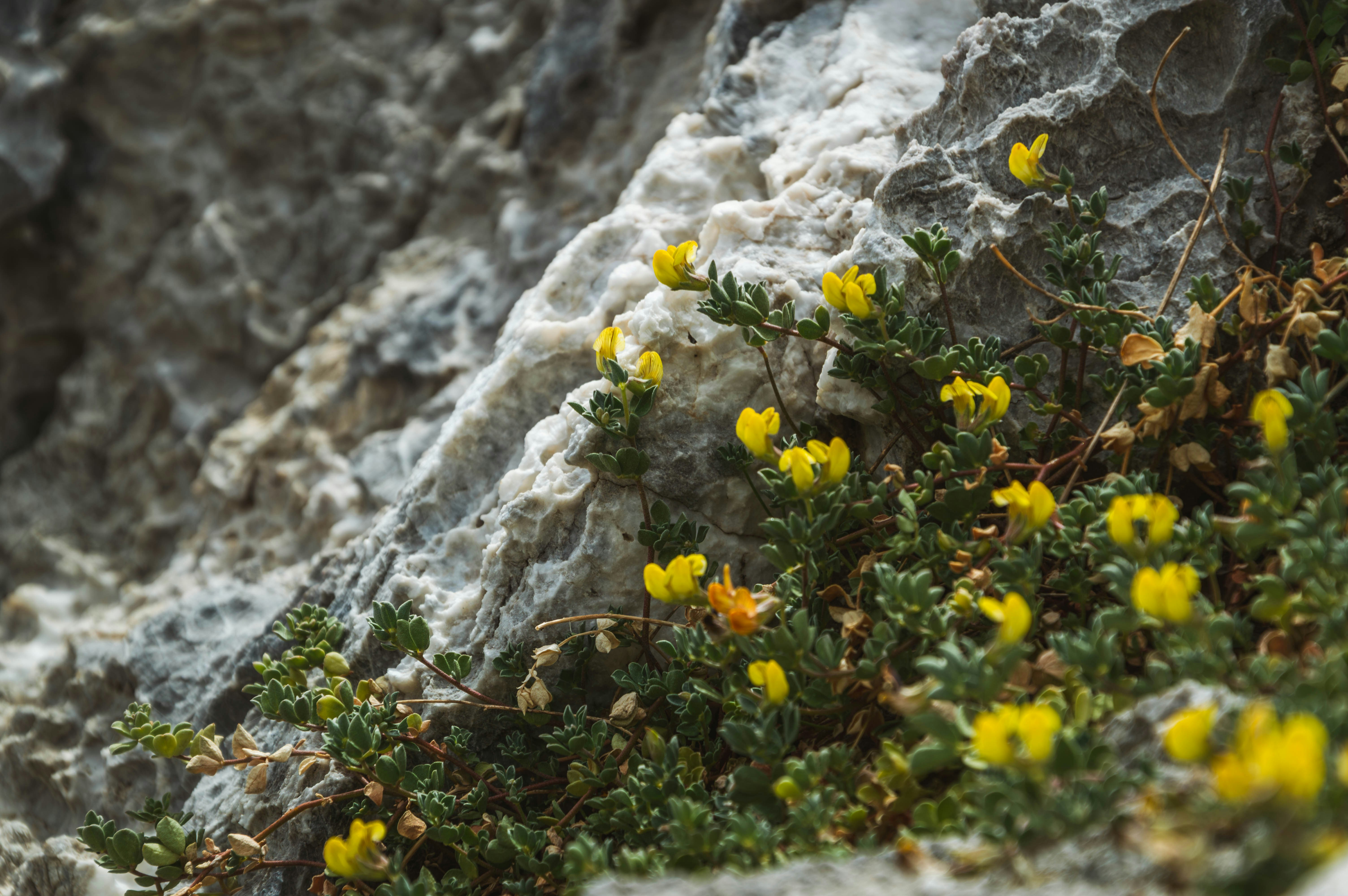 Photo by theoriginalbubi