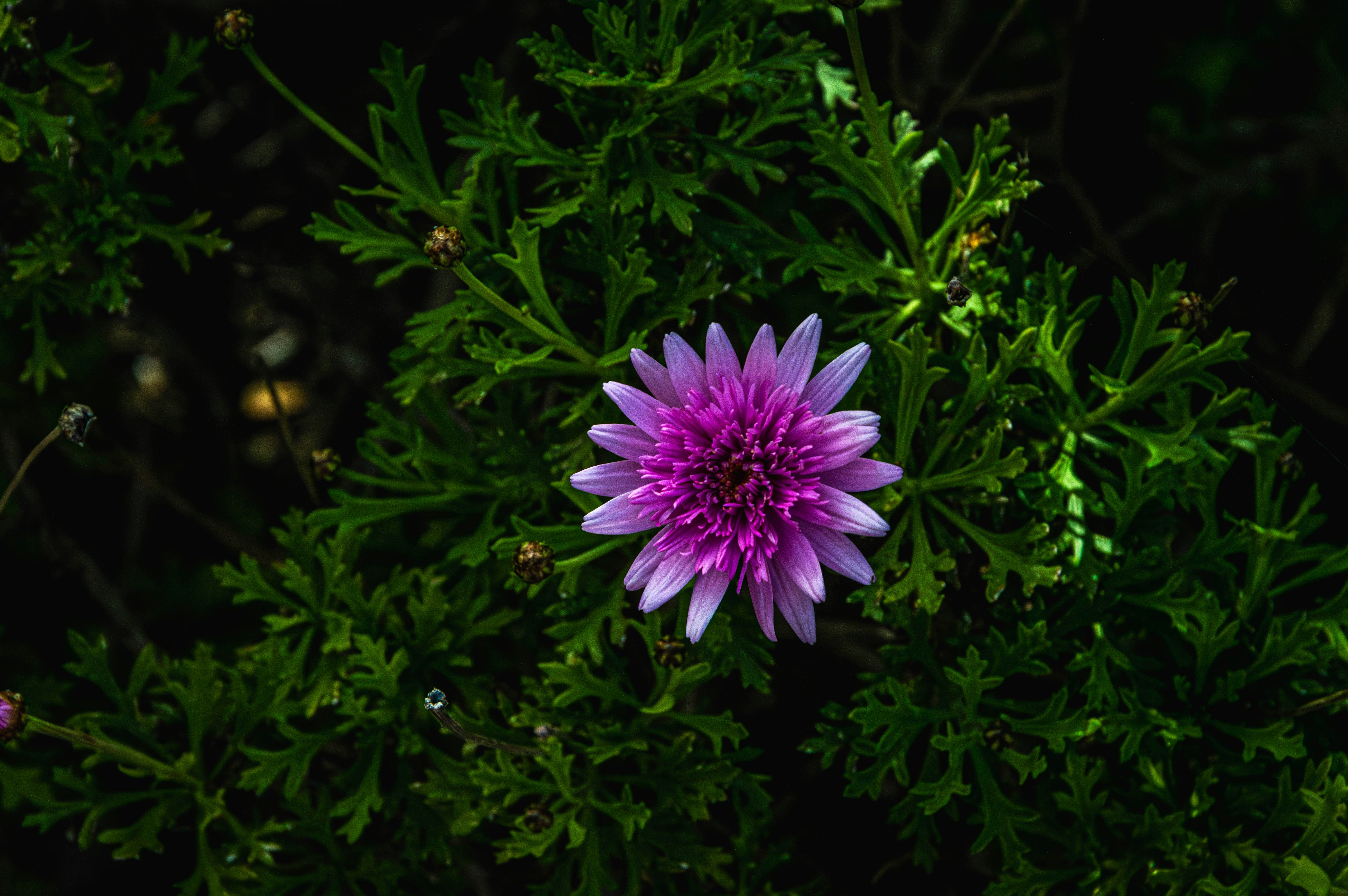 Photo by theoriginalbubi