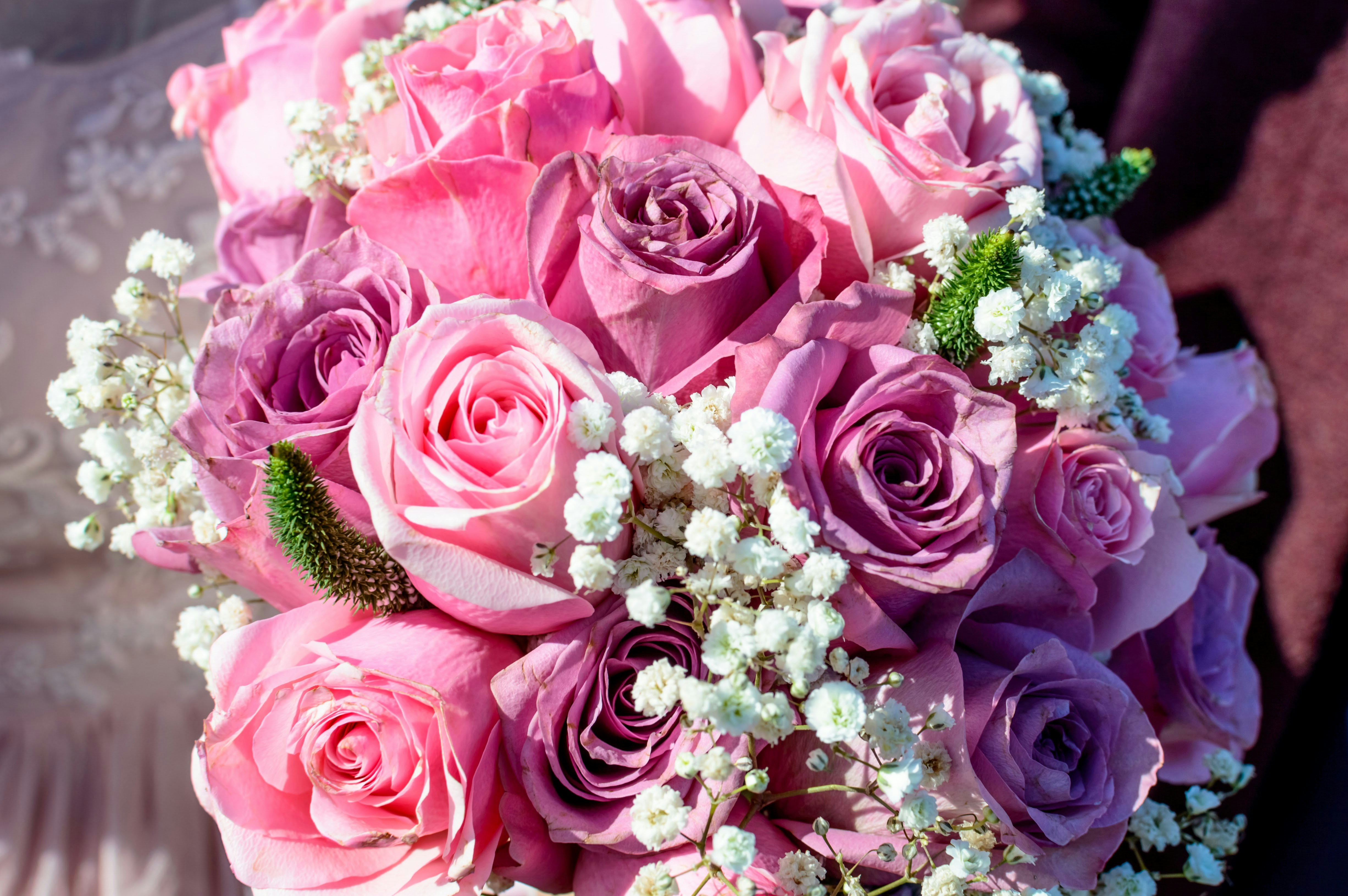 Un beau bouquet de roses roses et violettes. photo – Image gratuite de Fleur  sur Unsplash, image size:3000x1994