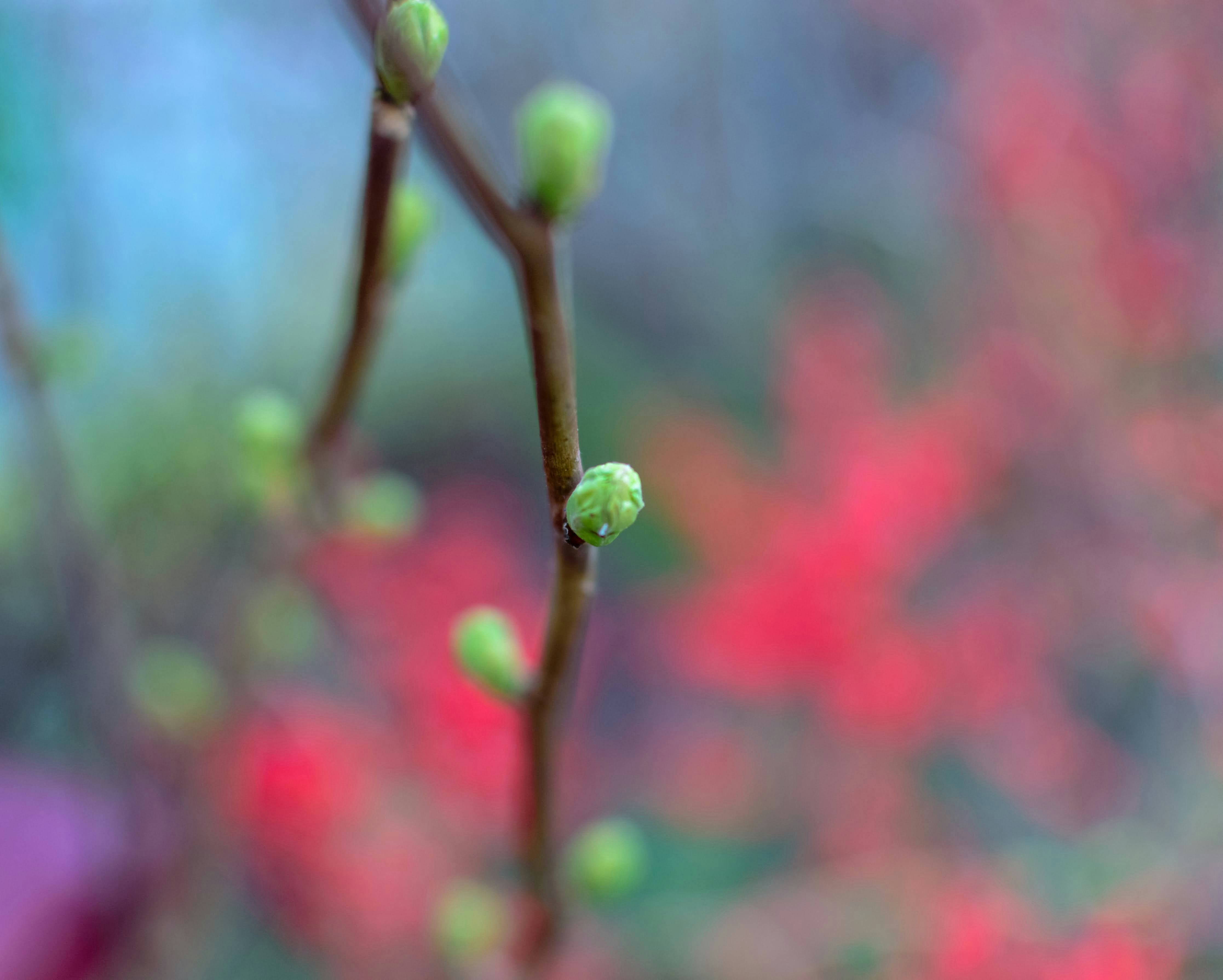 Photo by theoriginalbubi