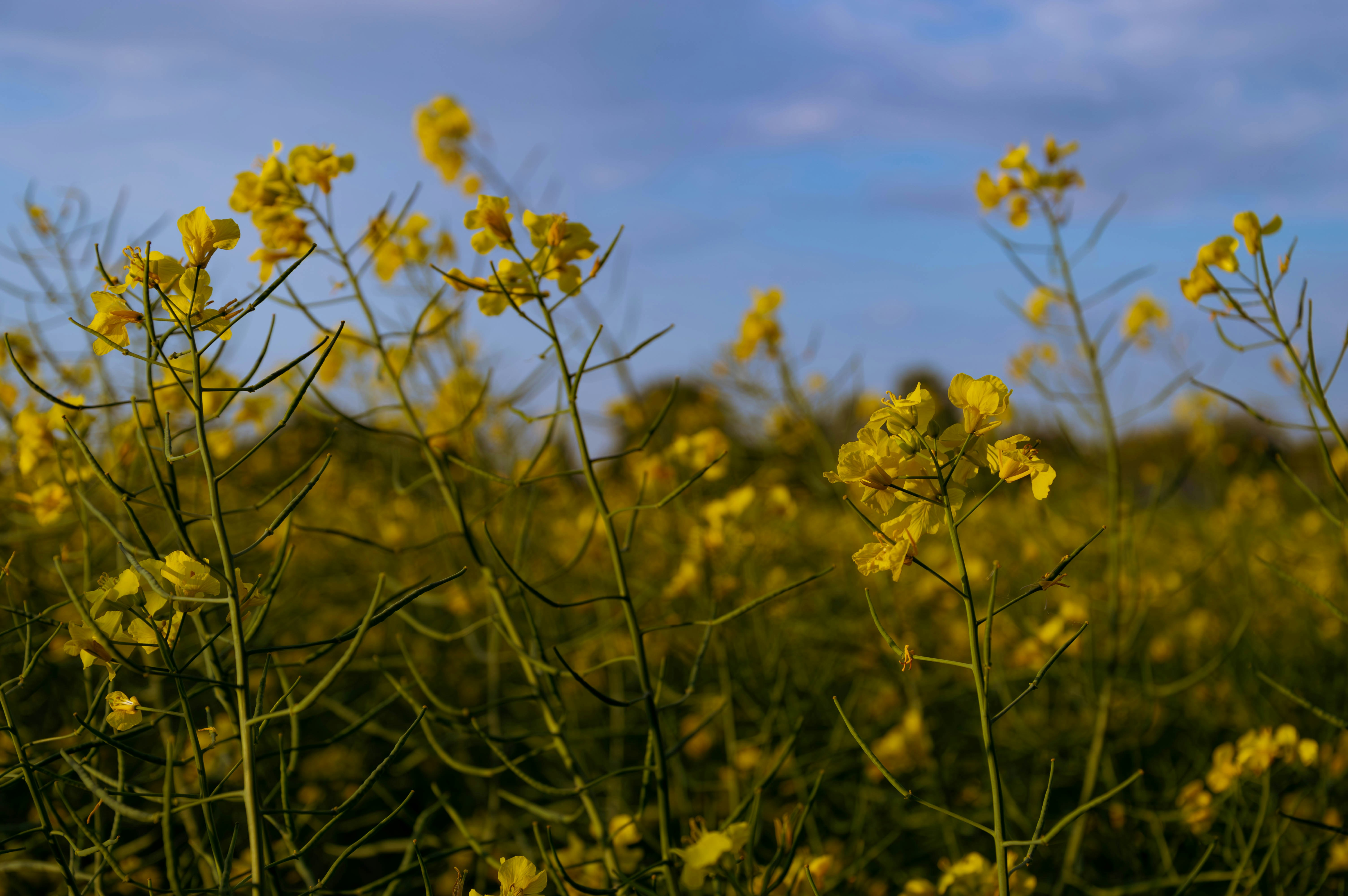 Photo by theoriginalbubi