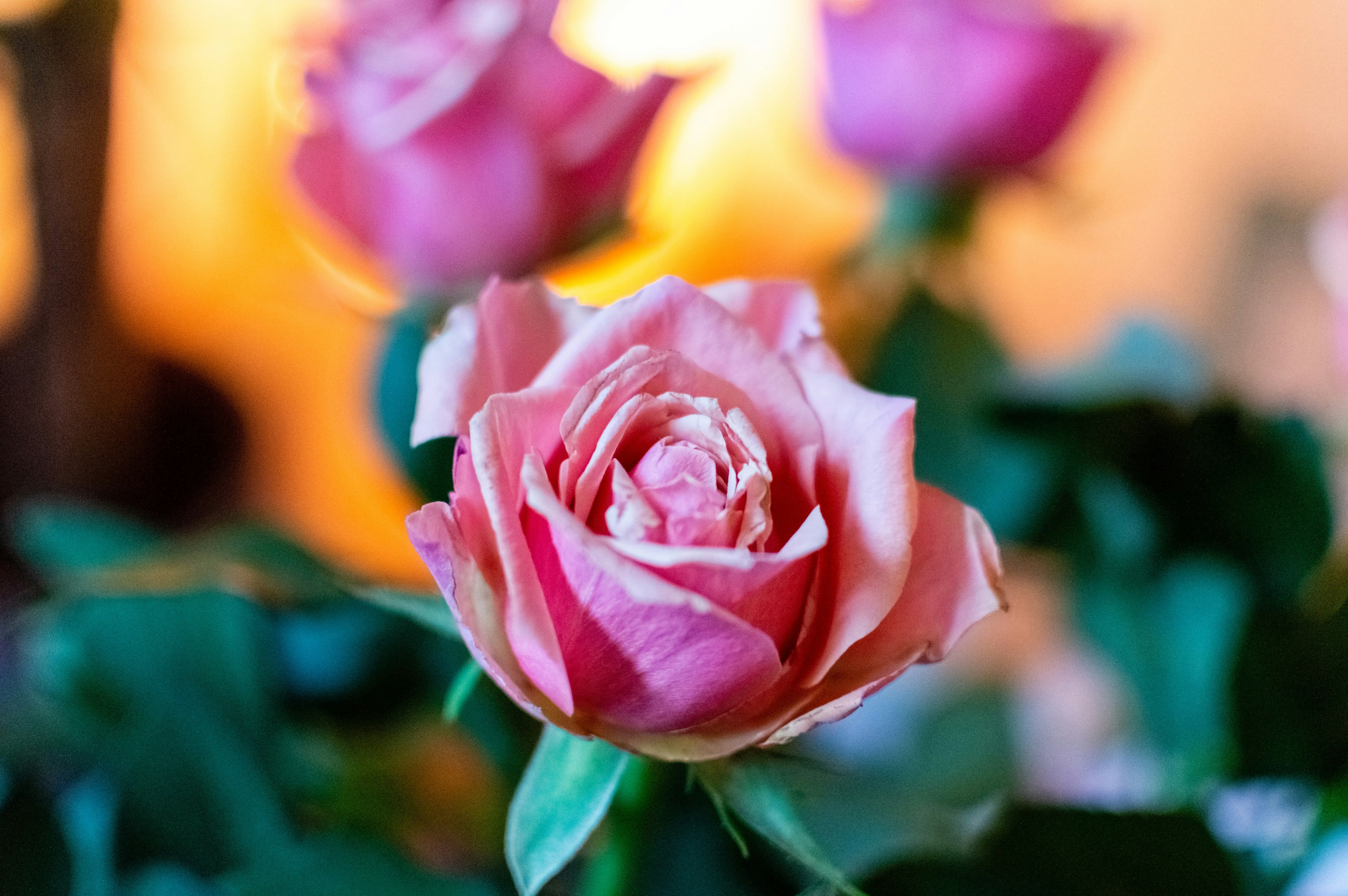 Photo by theoriginalbubi