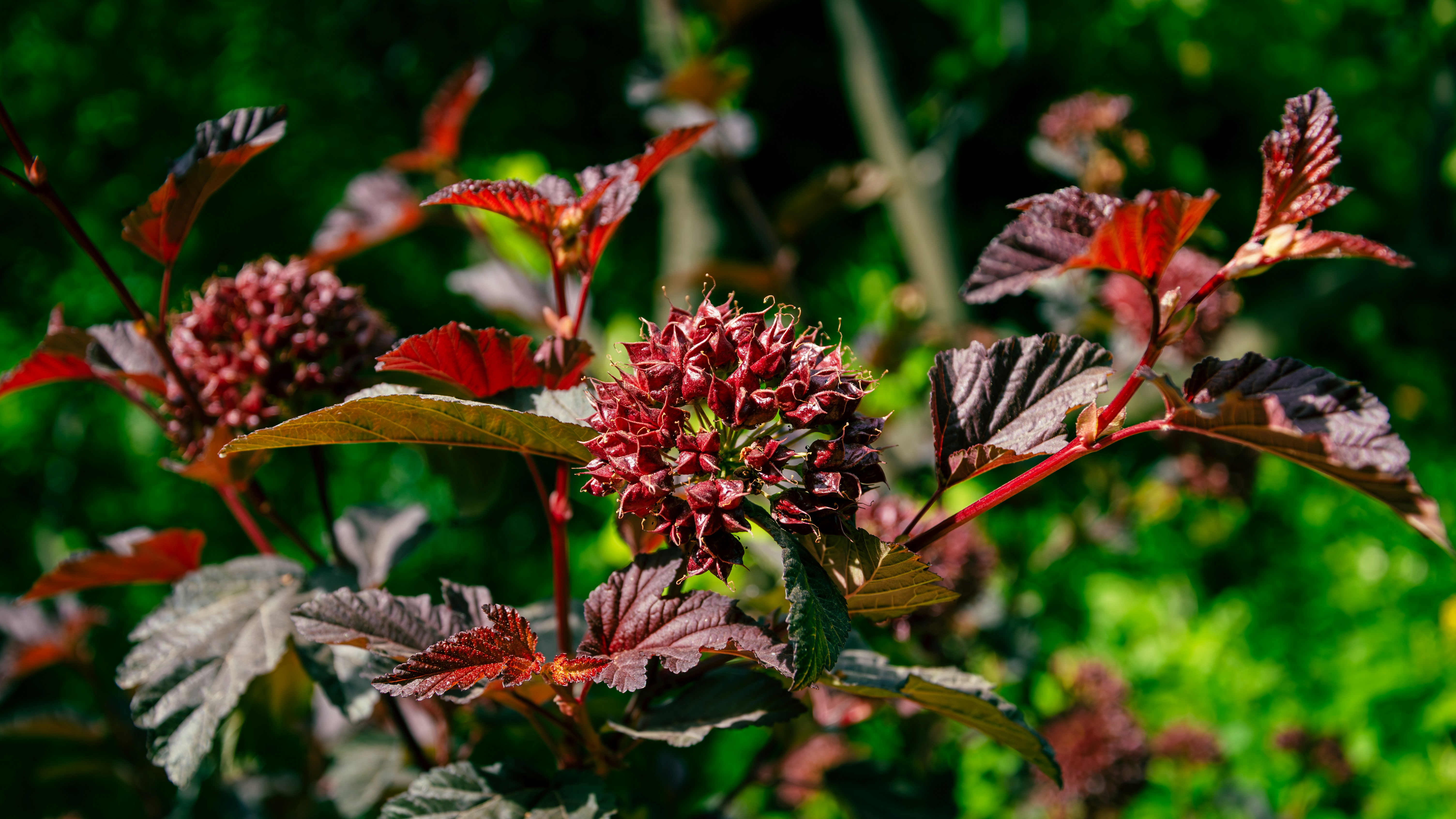 Photo by theoriginalbubi