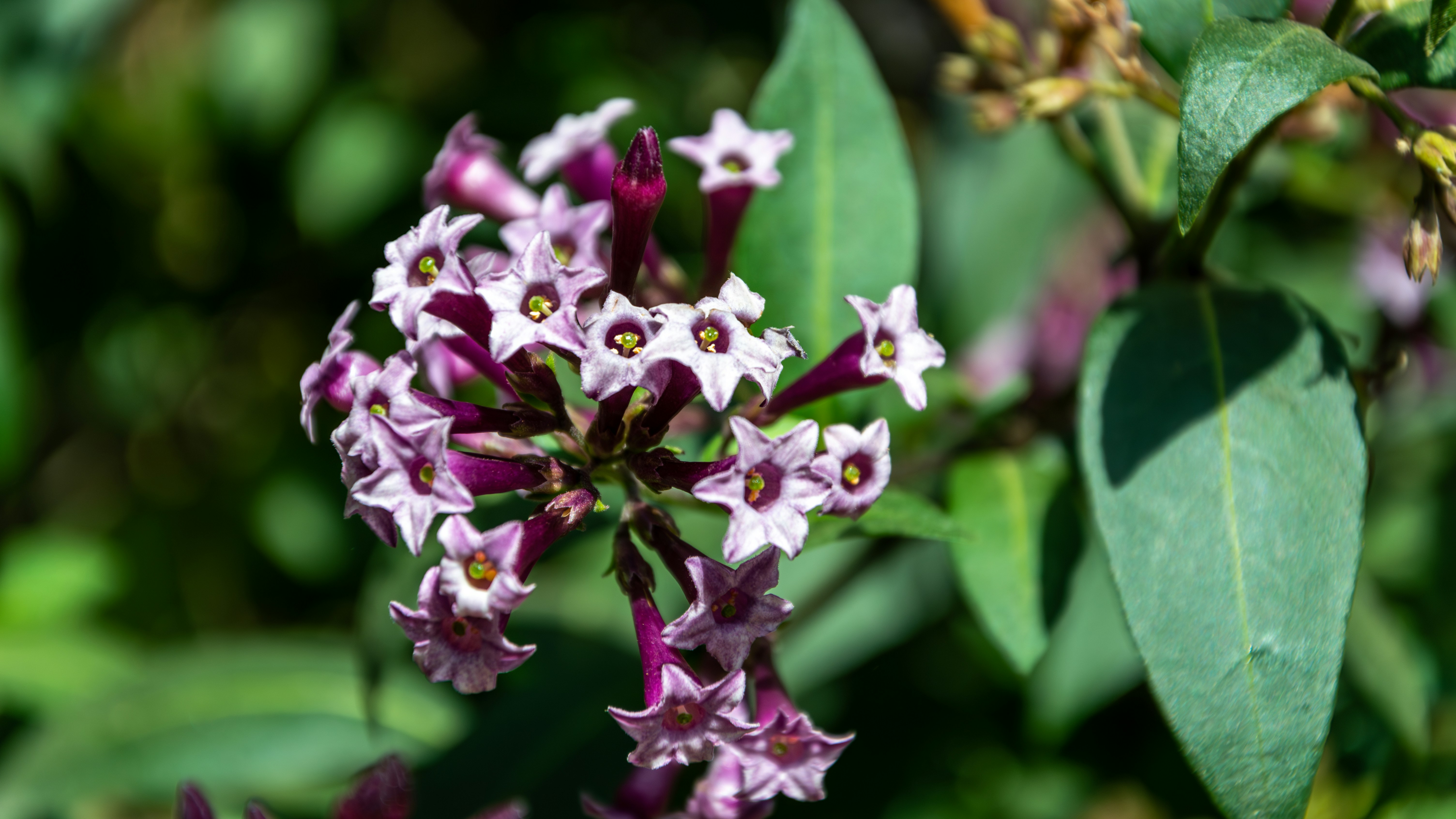 Photo by theoriginalbubi