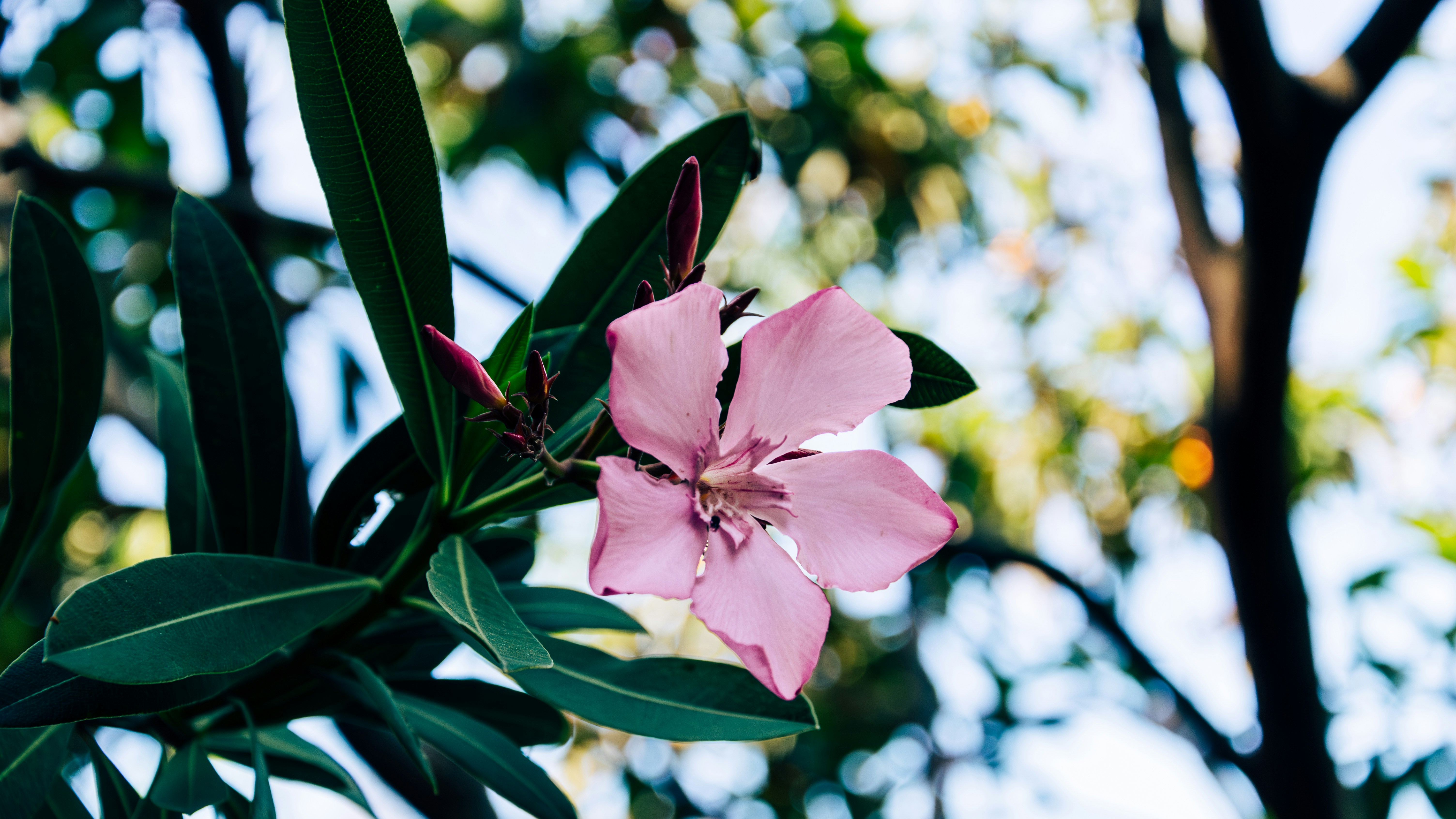 Photo by theoriginalbubi