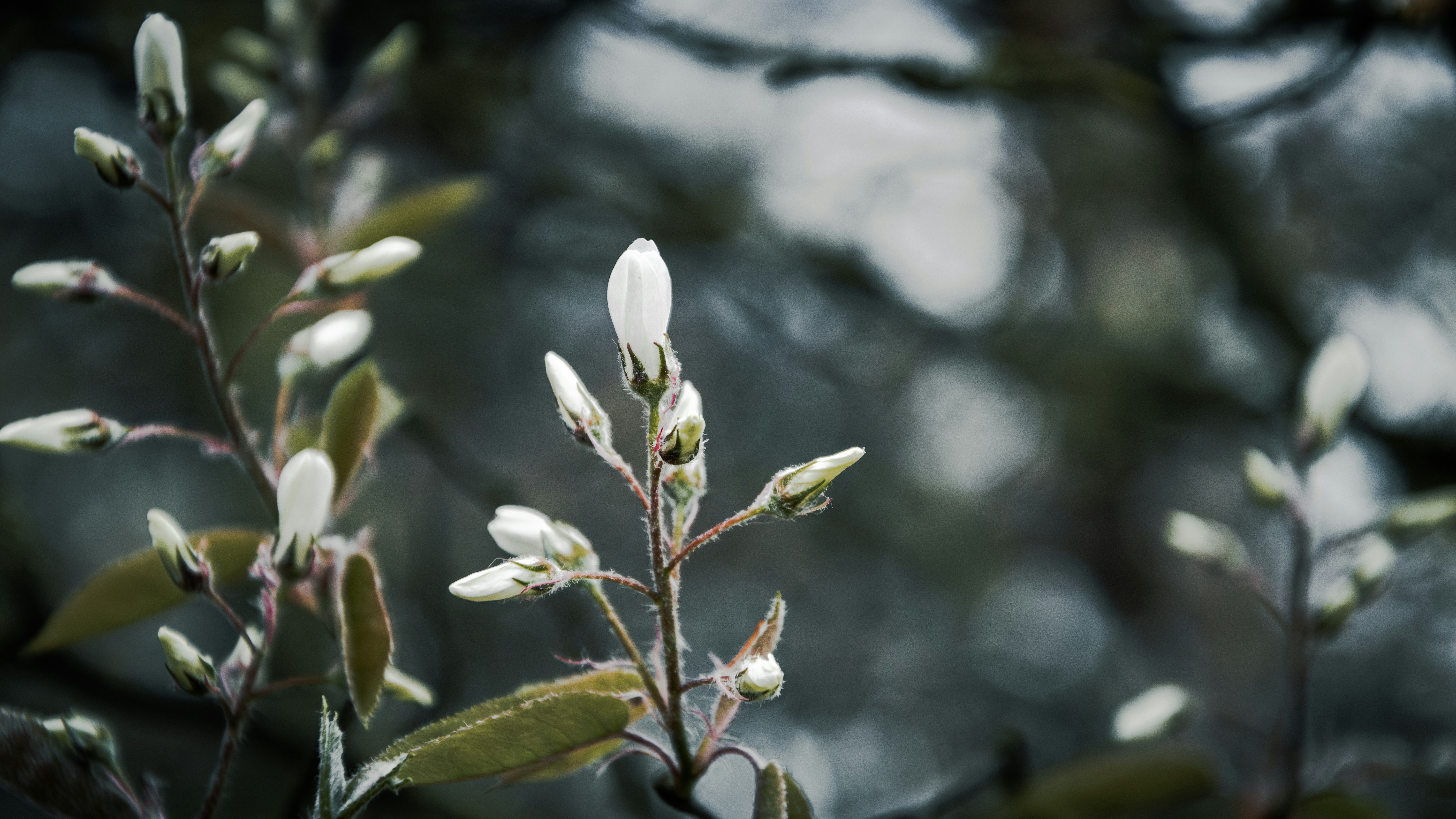 Photo by theoriginalbubi