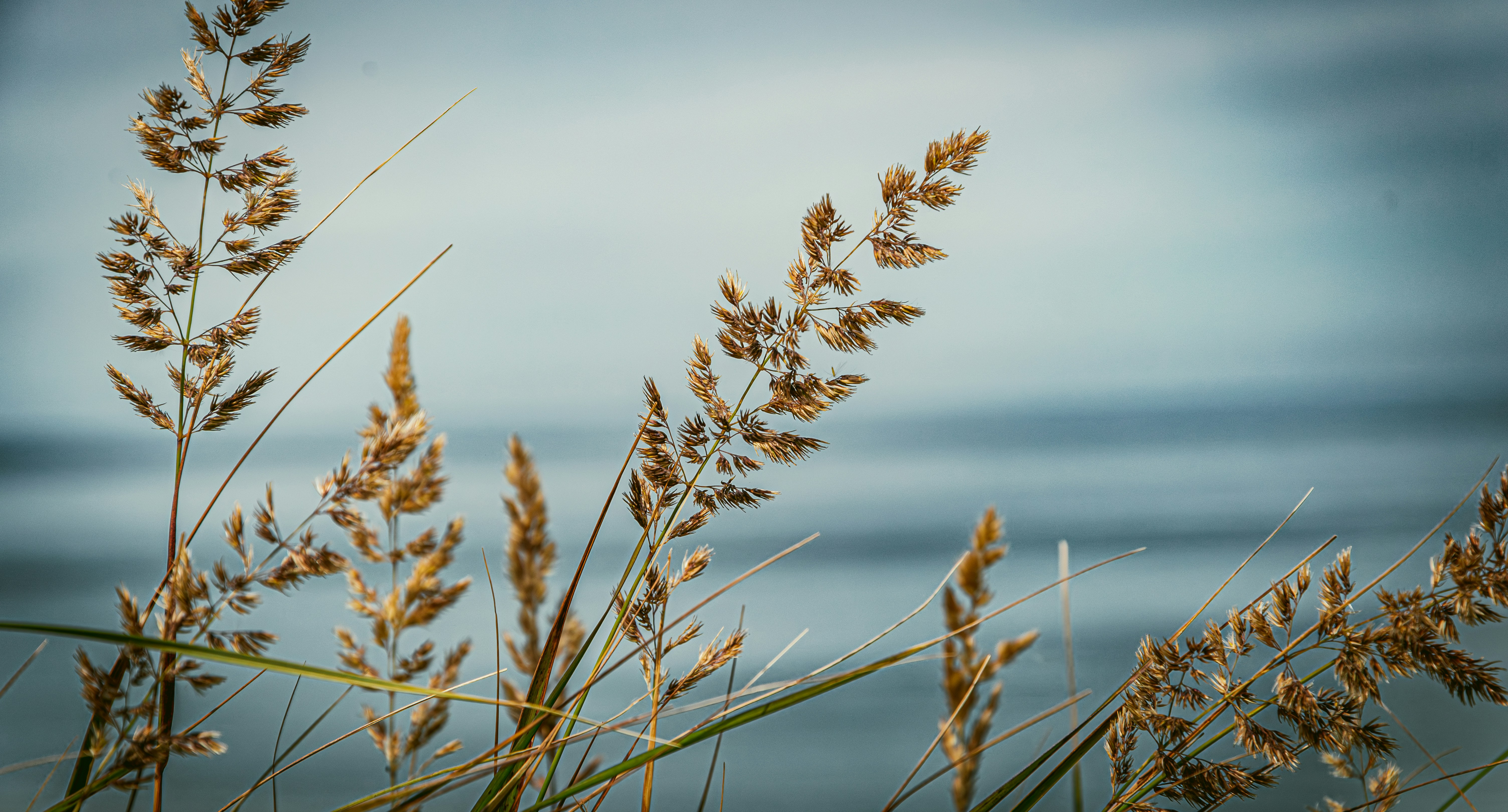 Photo by theoriginalbubi