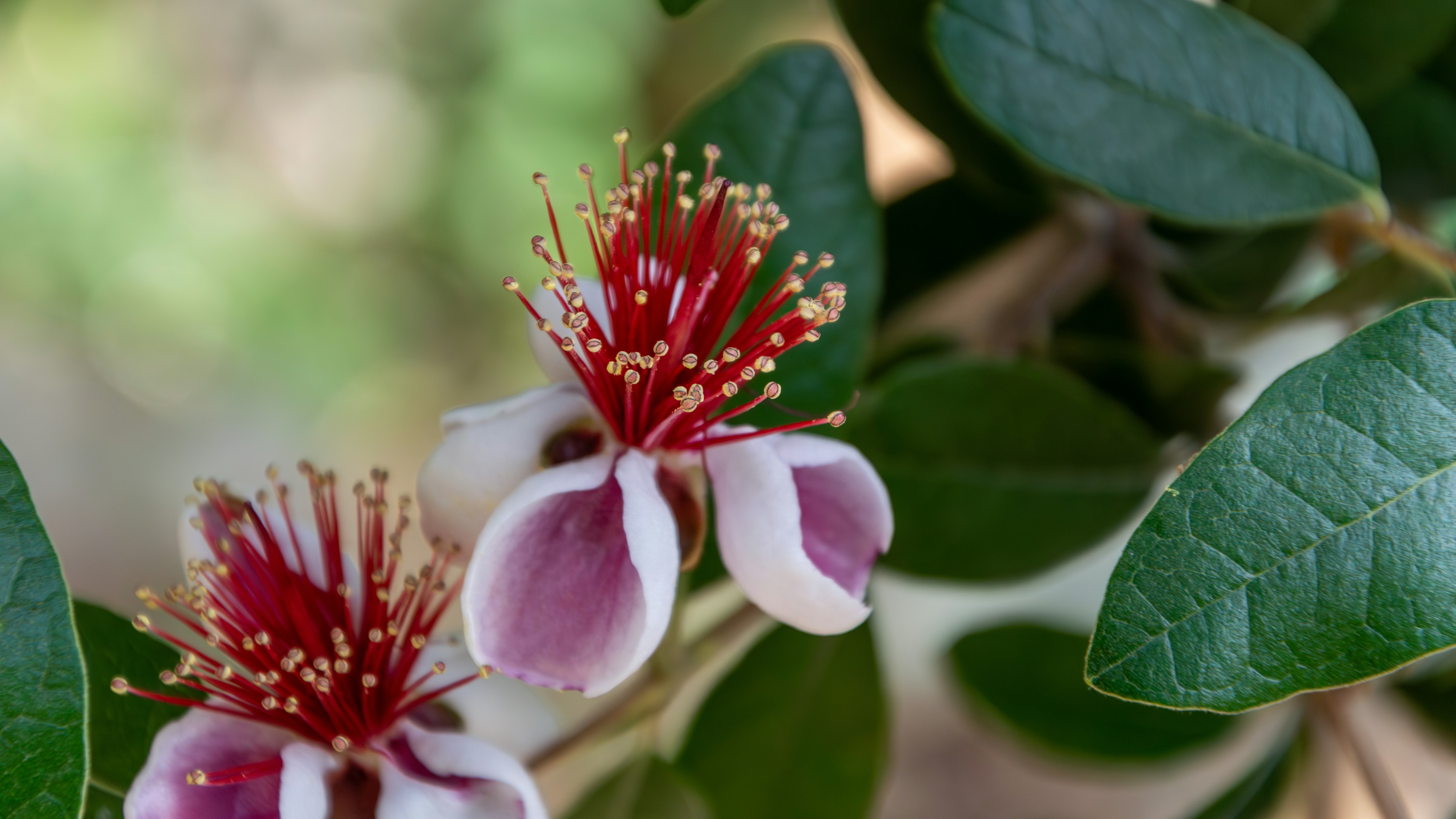 Photo by theoriginalbubi