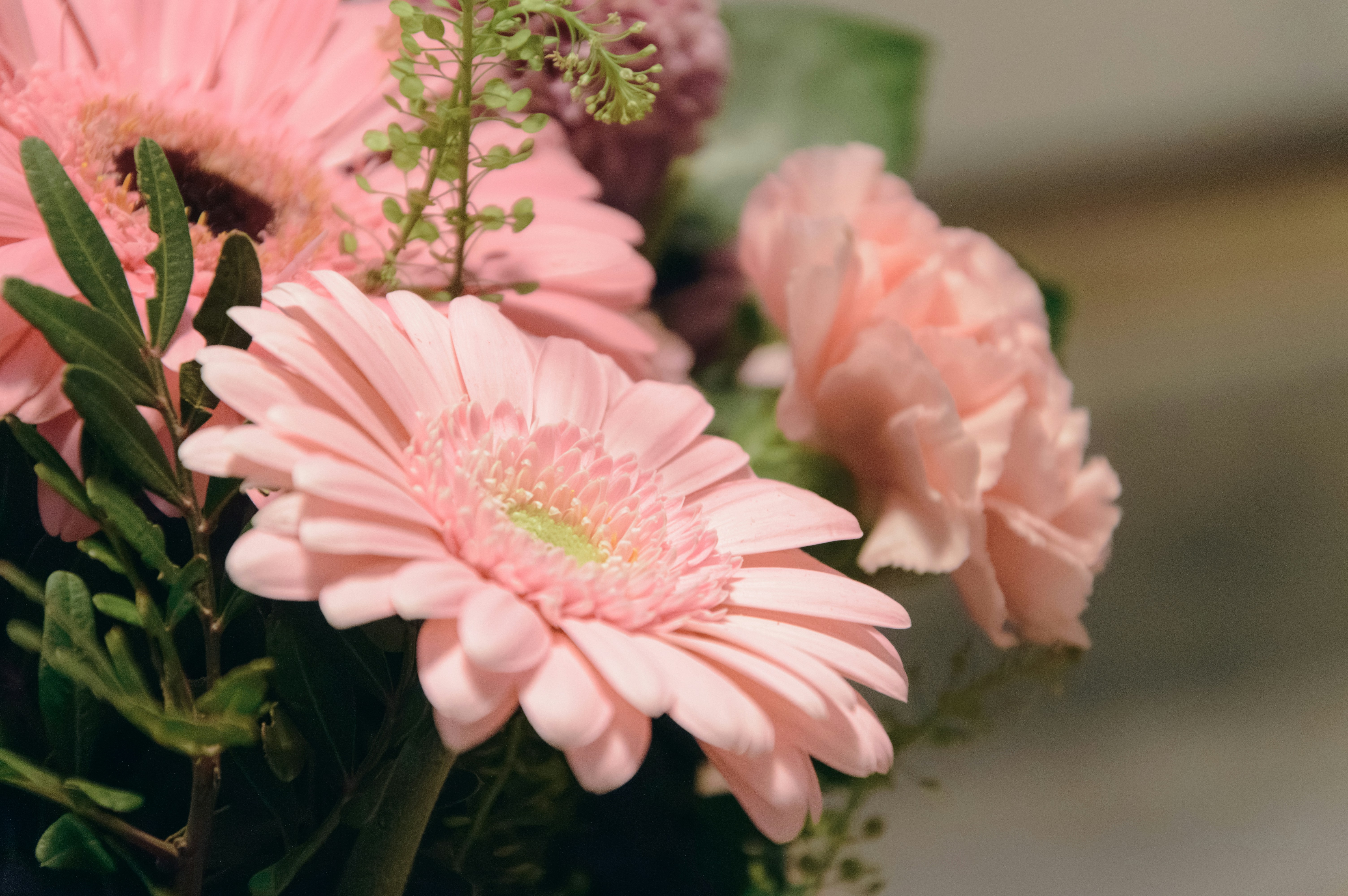 Photo by theoriginalbubi