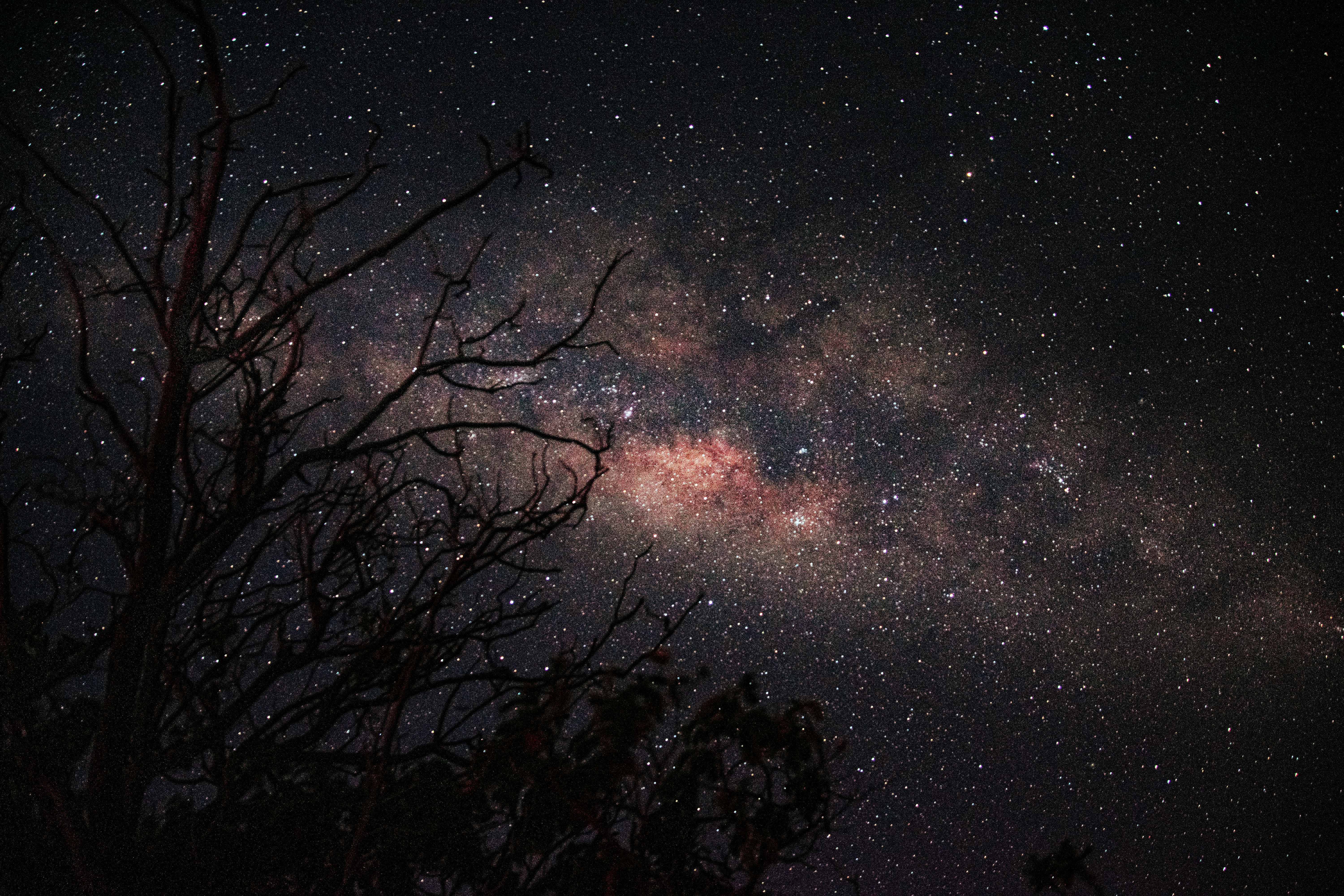 Photo by alyaan_adam_