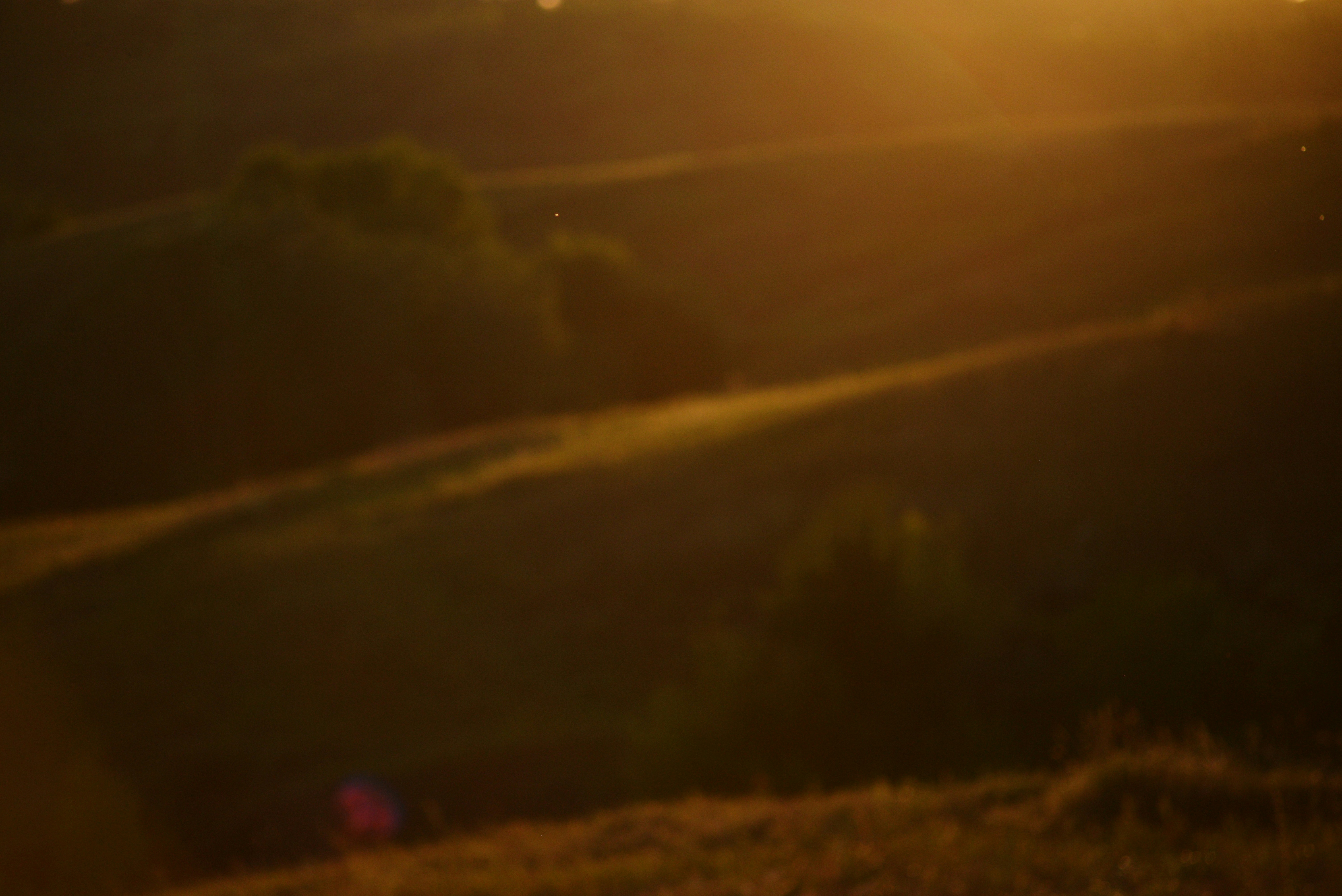 Photo by cherstve_pechivo