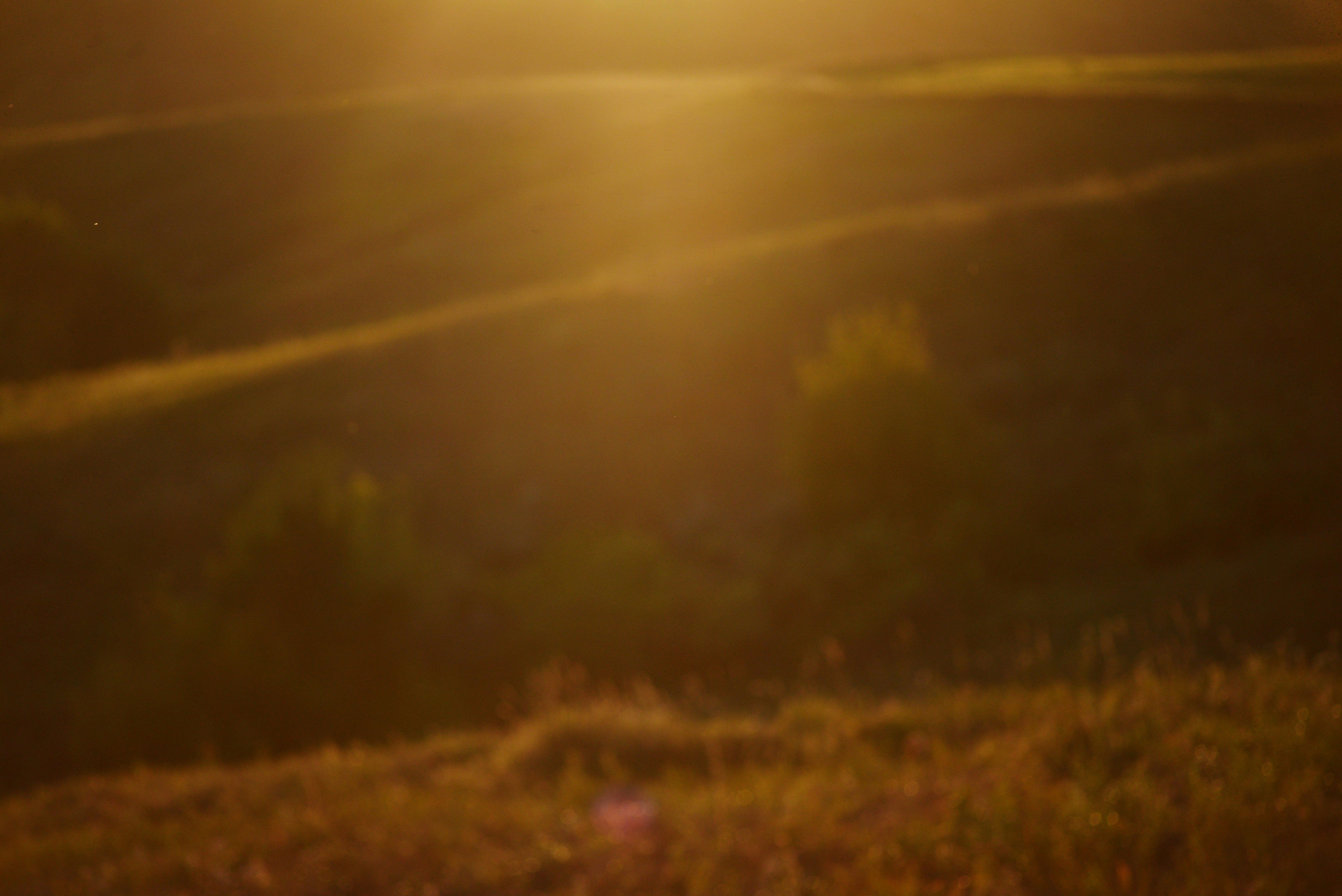 Photo by cherstve_pechivo