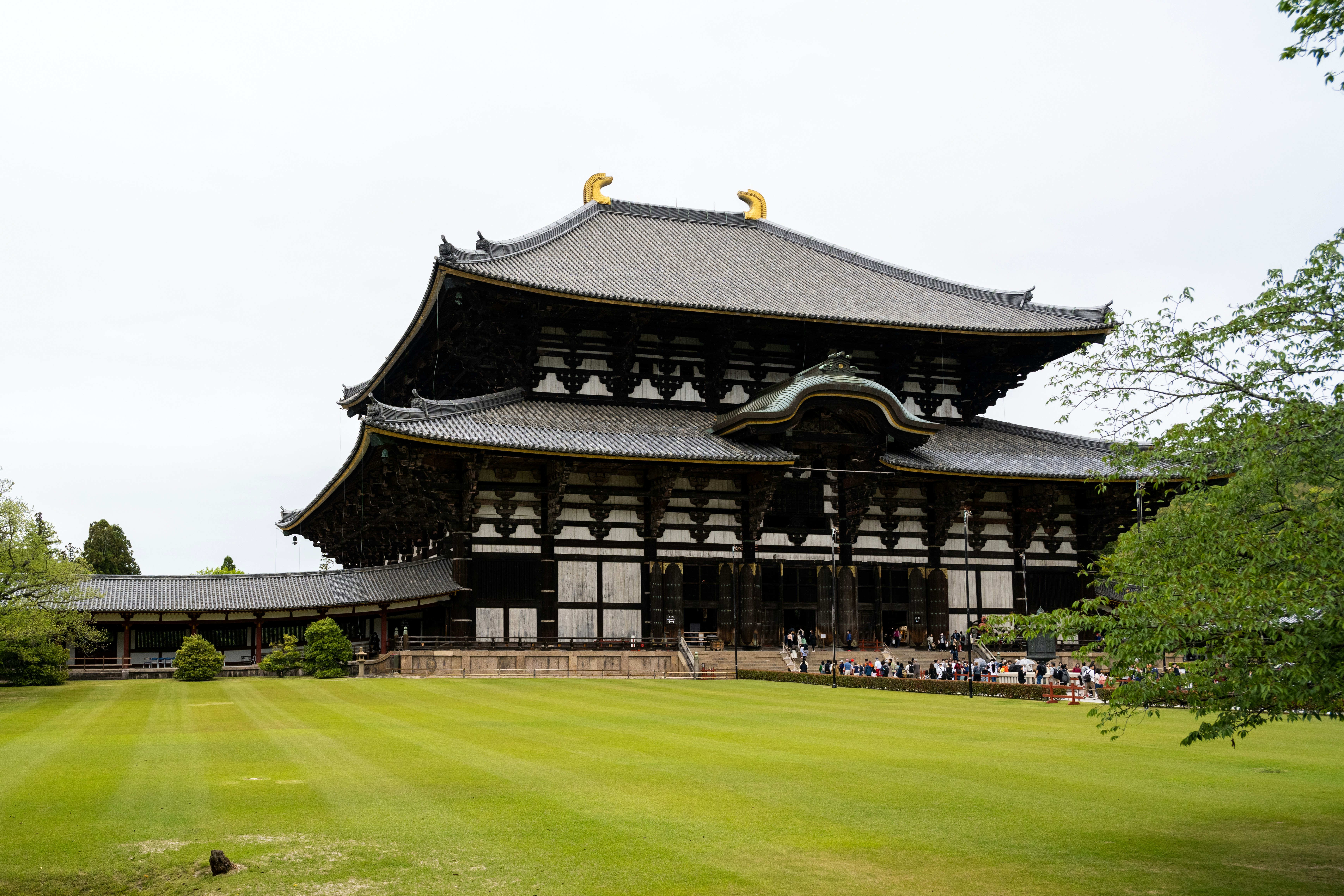 Photo by krzysztof_h