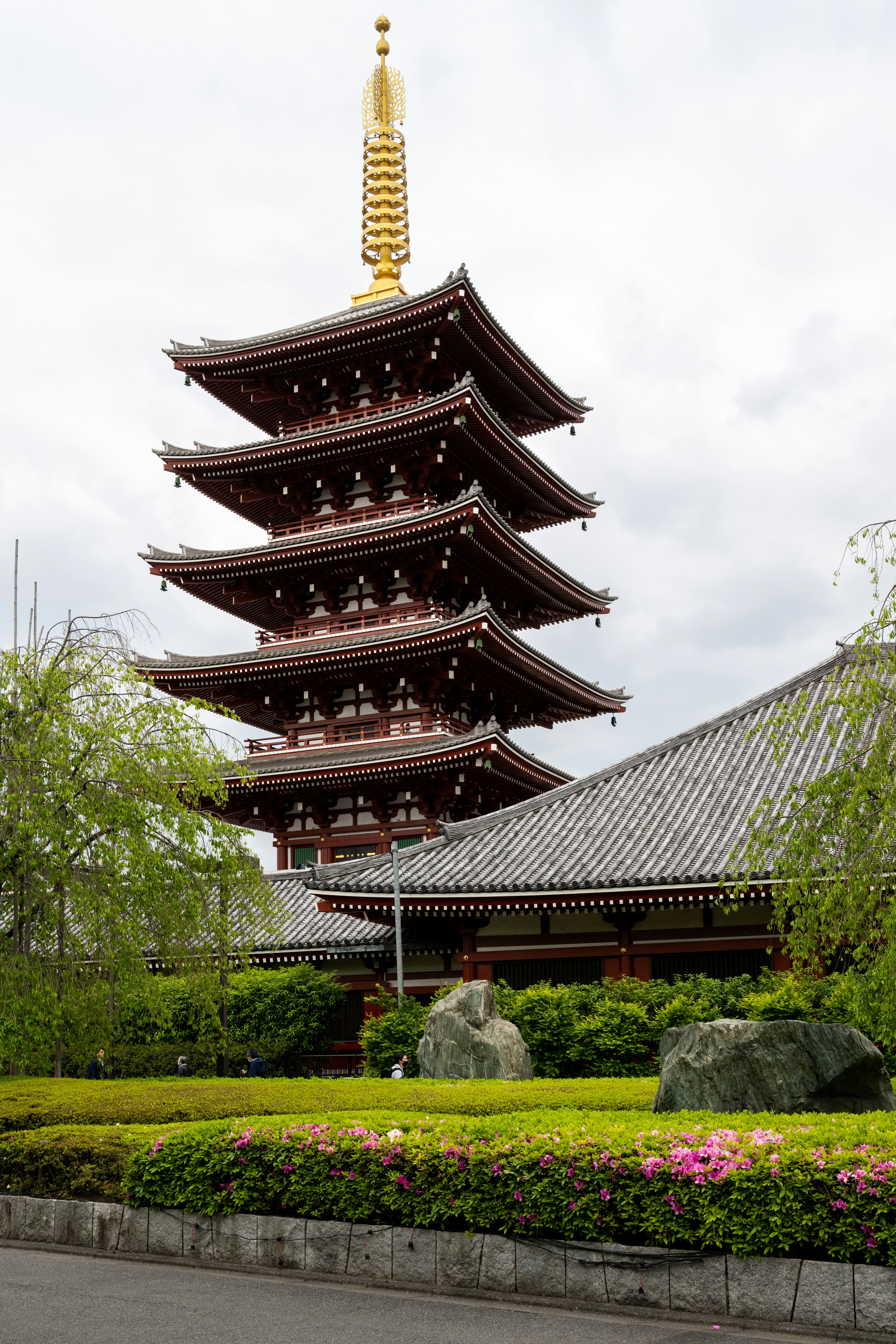 Photo by krzysztof_h