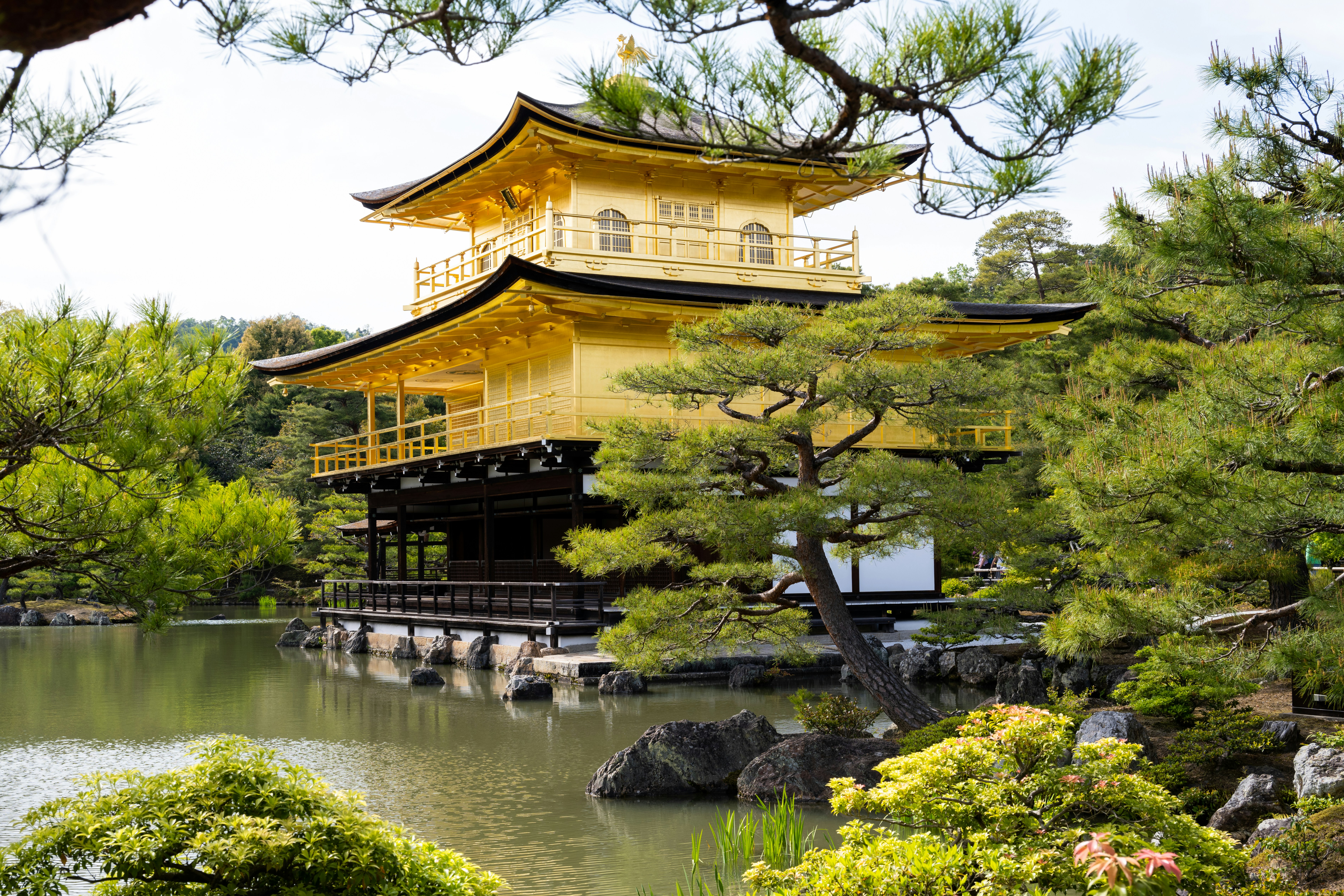 Photo by krzysztof_h