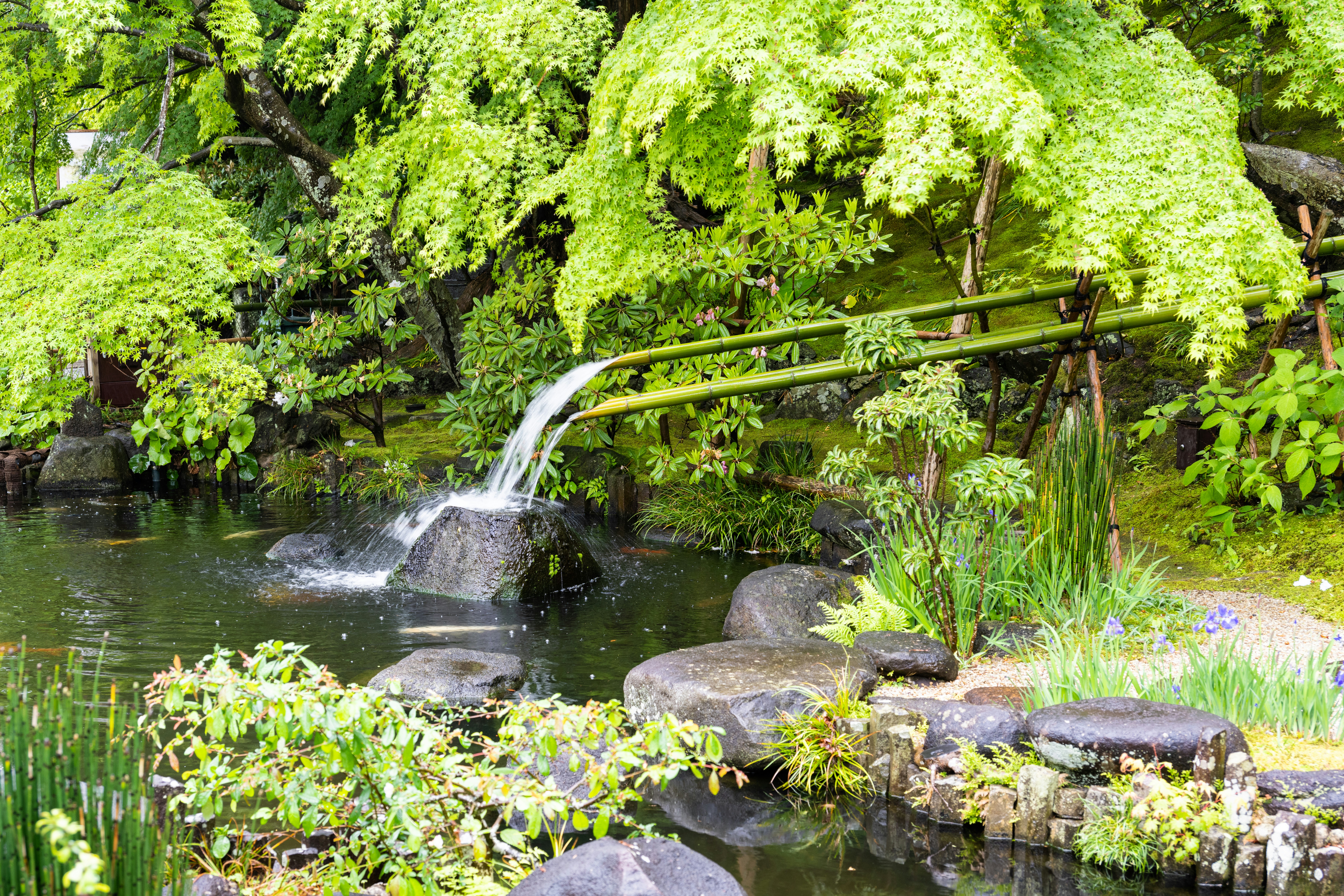 Photo by krzysztof_h