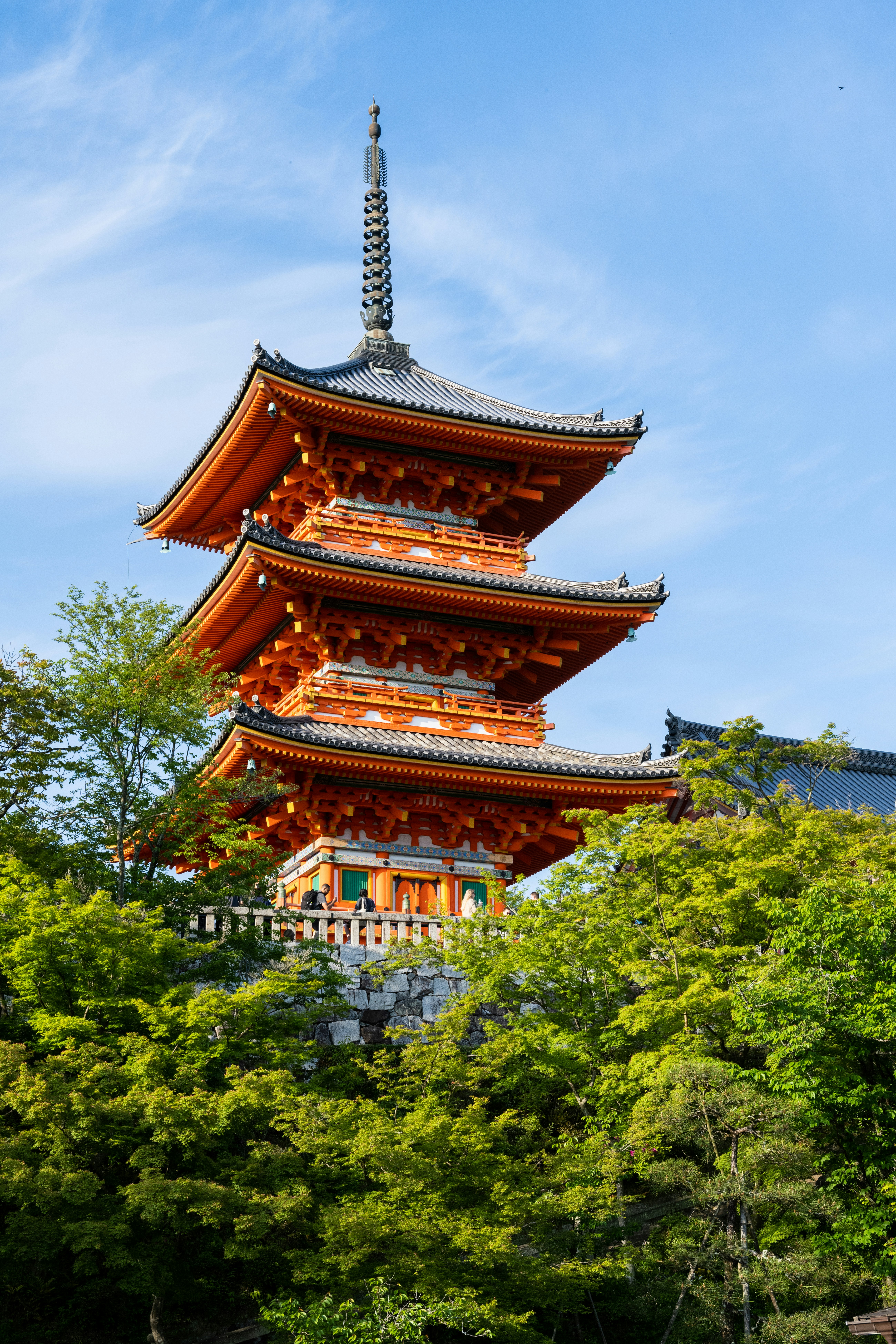 Photo by krzysztof_h