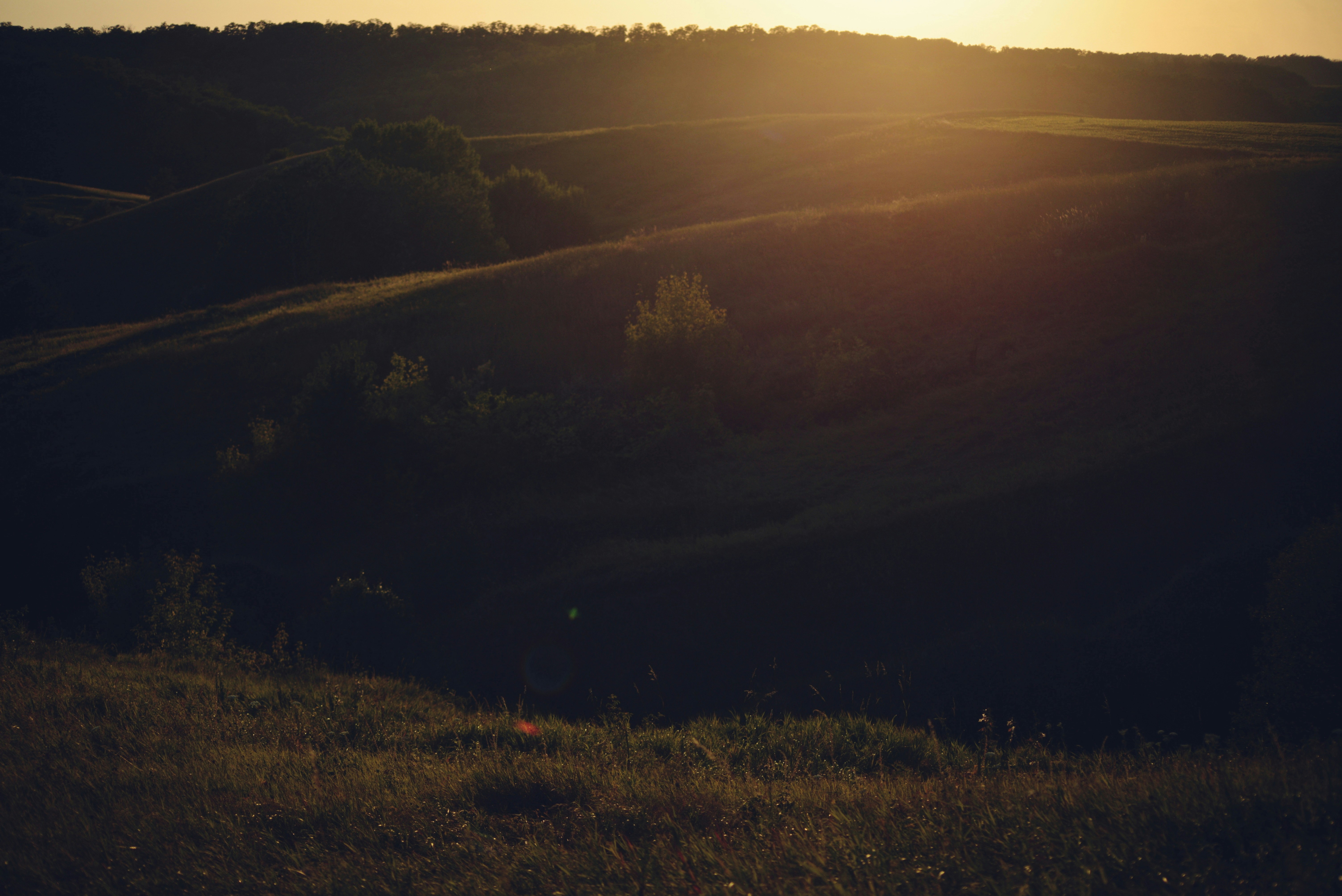 Photo by cherstve_pechivo