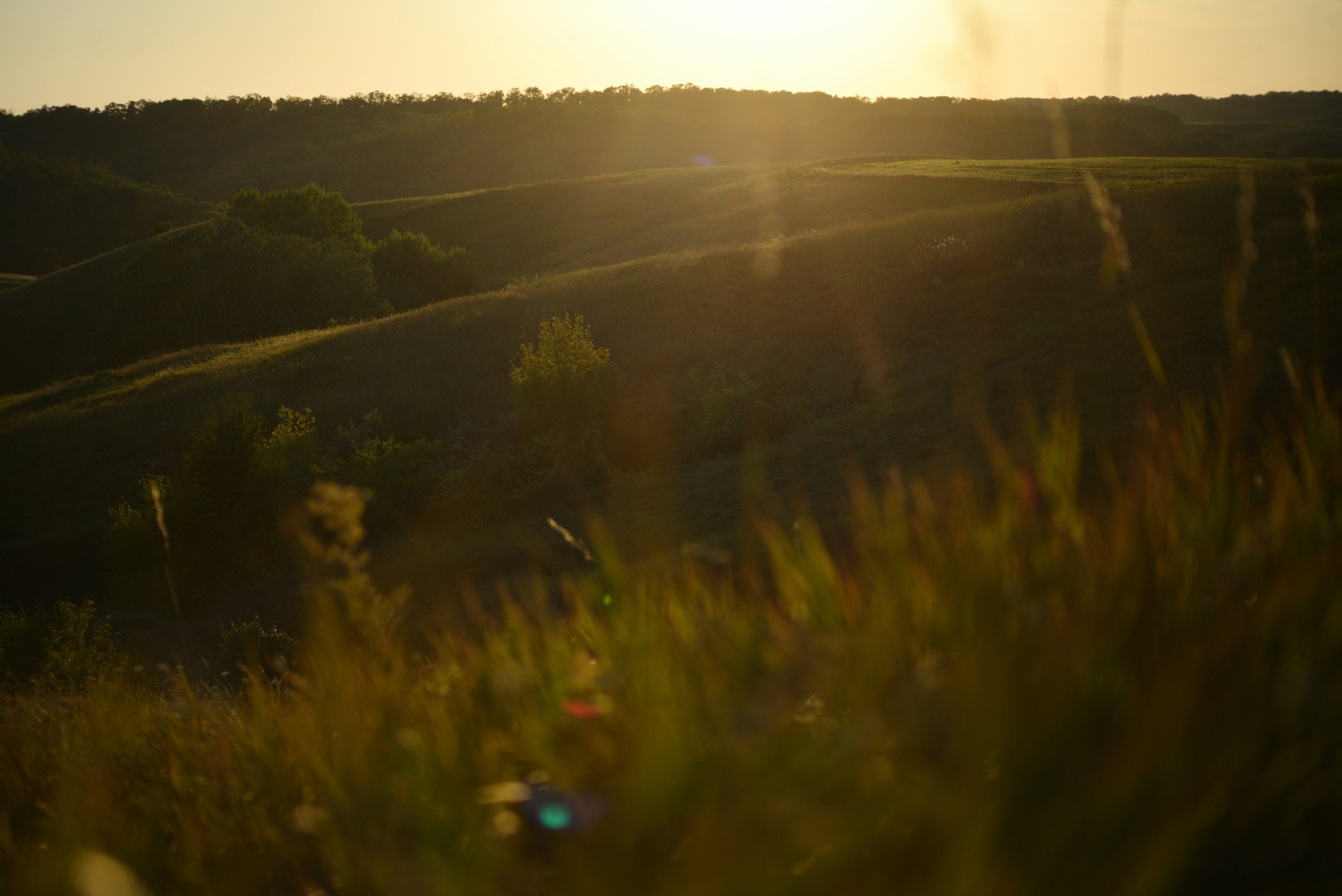 Photo by cherstve_pechivo