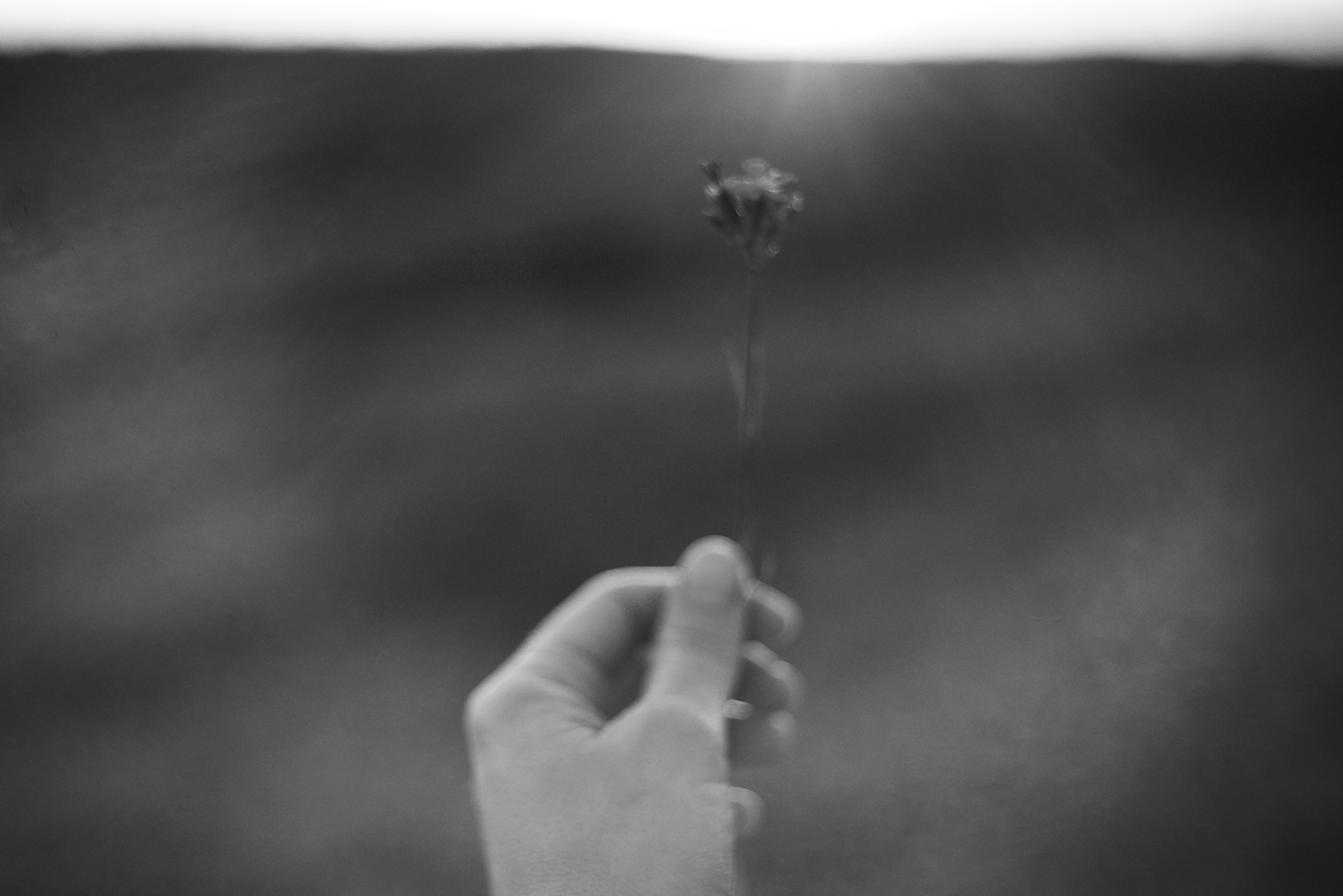 Photo by cherstve_pechivo