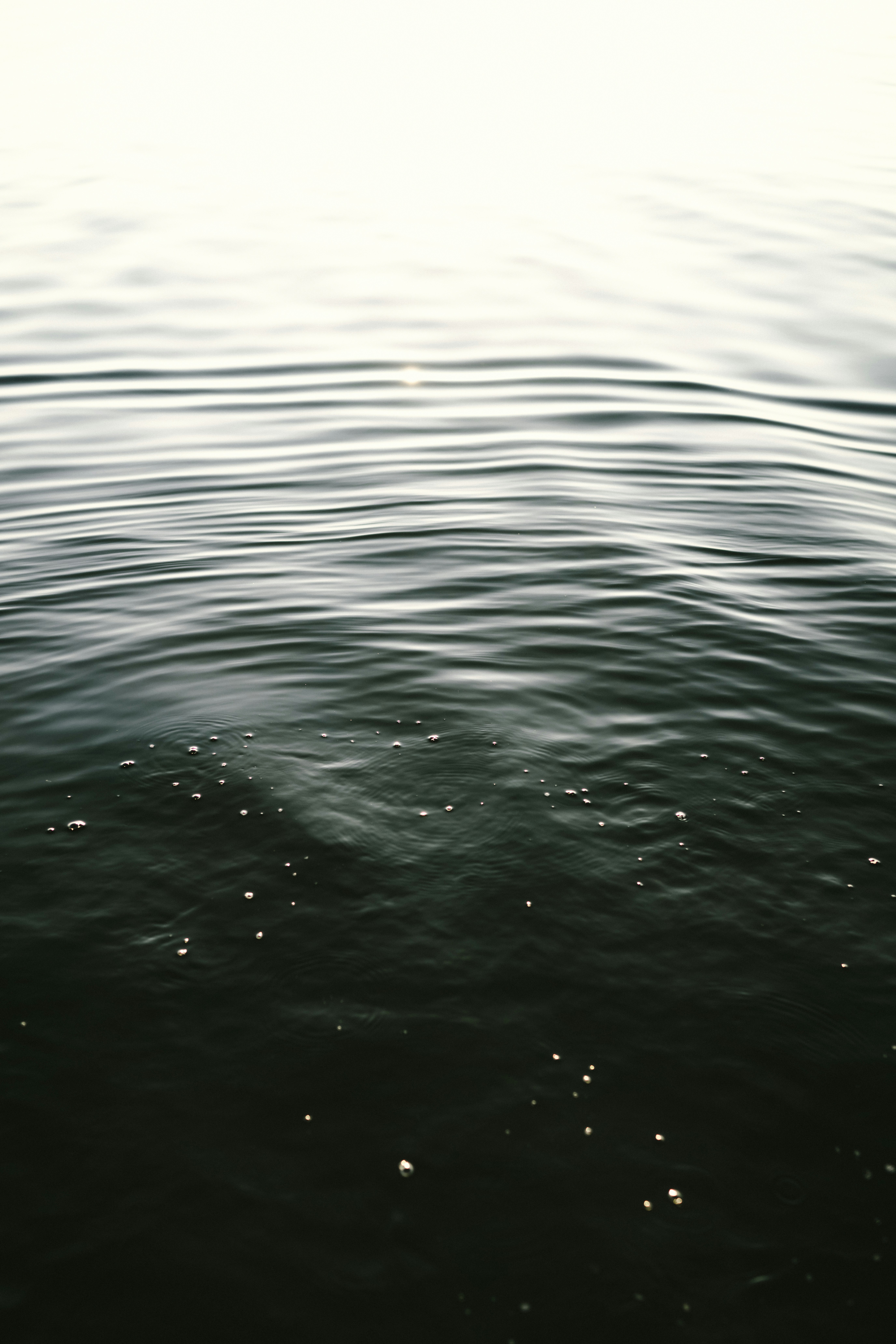 Photo by kristapsungurs