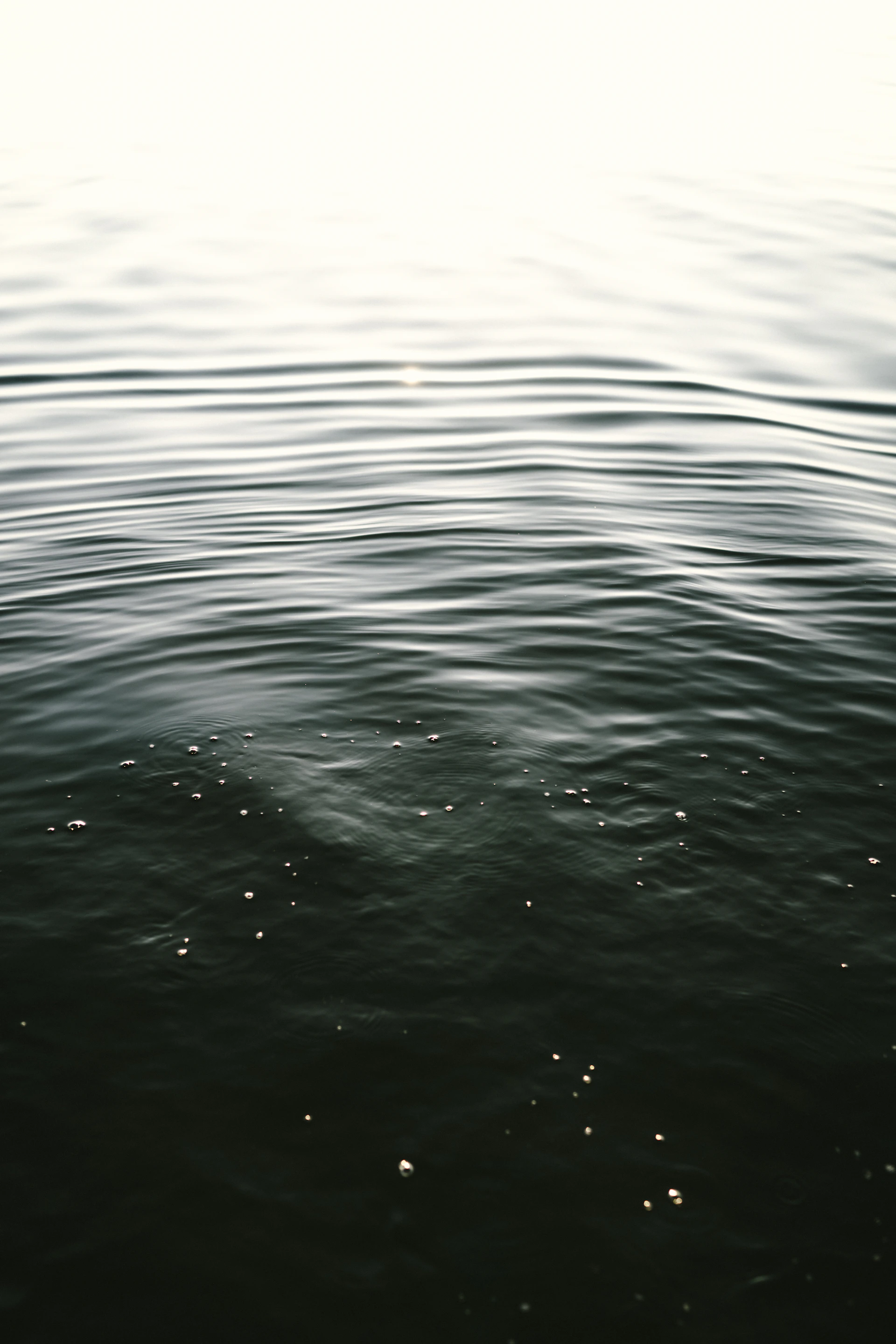 Ripples on dark water with bright light reflection